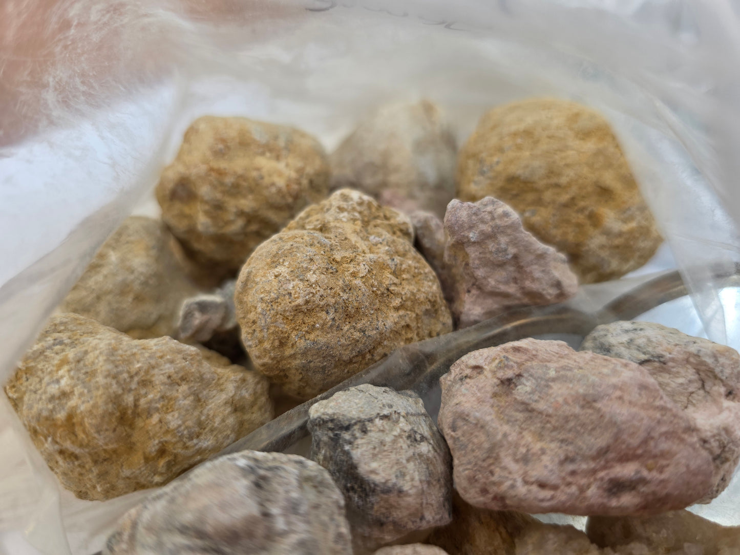 Raw uncut Geode 1 lbs