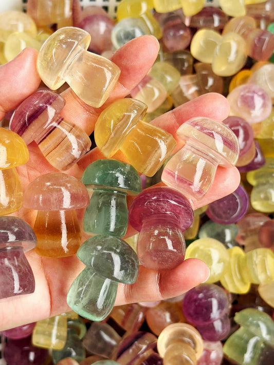 25-Piece Bulk Rainbow Fluorite Mini Mushroom Carvings (3.5cm) - Wholesale Healing Crystals