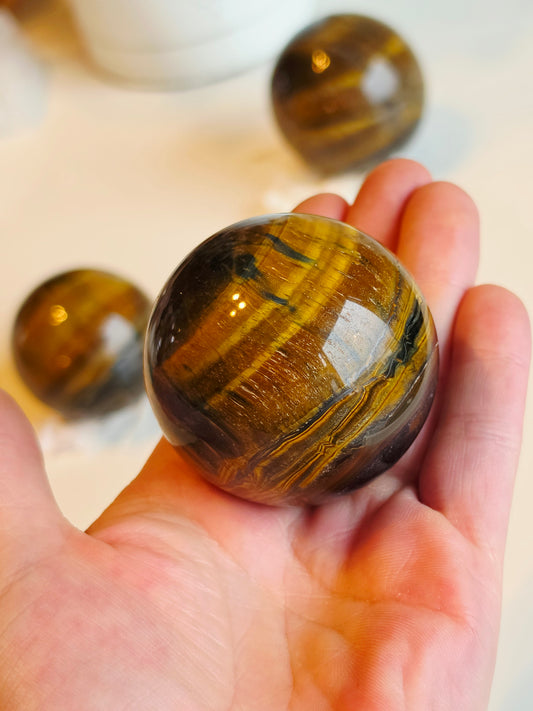 Set of 3 Tiger eyes Sphere Wholesale Medium Size