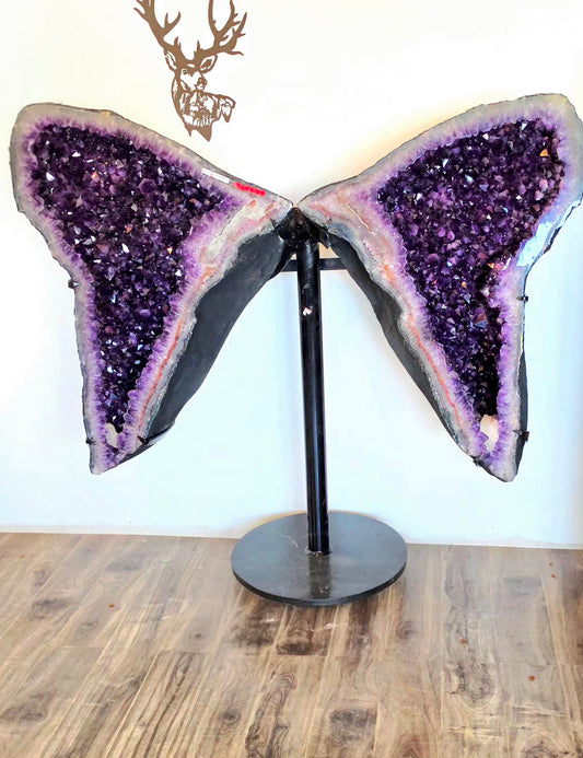 494 lbs Amethyst Wings from Brazil with Heavy Duty Custom - One of a Kind- Giant Statement Piece - Deep Purple with Calcite