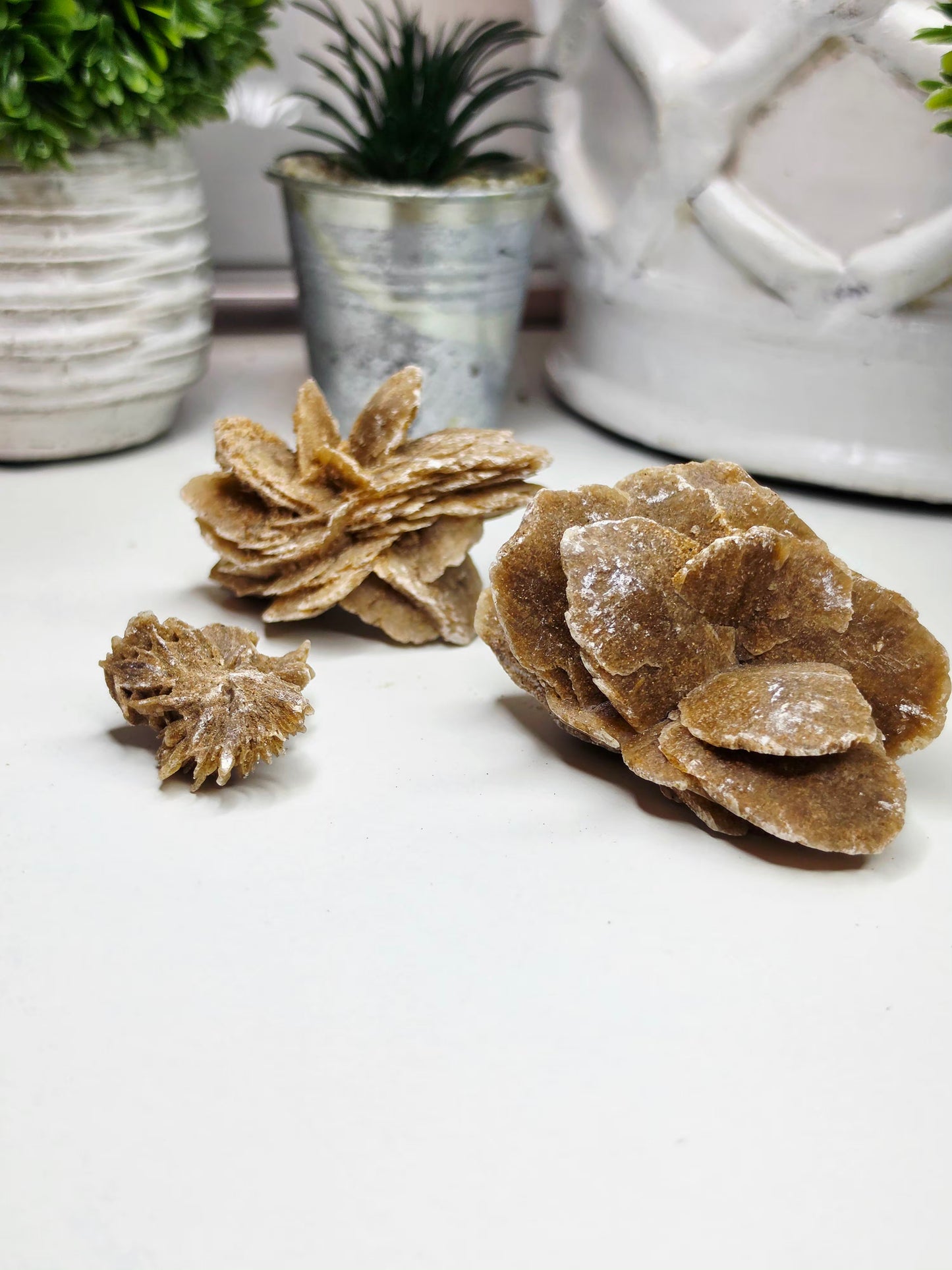 Raw Moroccan Desert Rose Crystal Cluster – 3 Naturals Gypsum Sand Rose Specimens