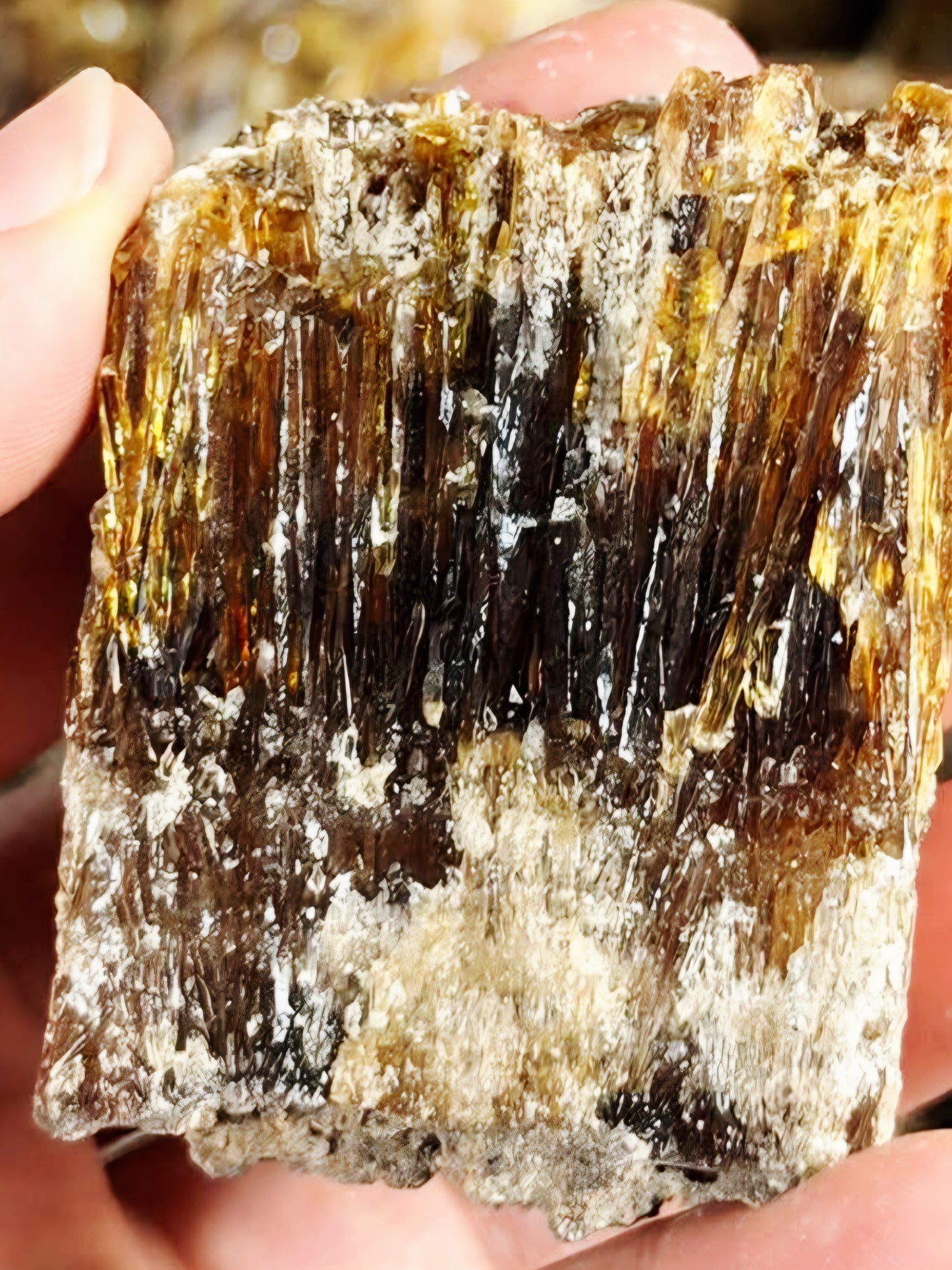 Amber Calcite 5 pieces Specimens - Palm Size