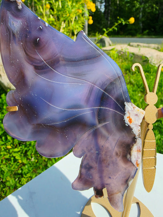 1.14lbs Blue Flower Agate Butterfly Wings on Stand 25.5x20.3cm