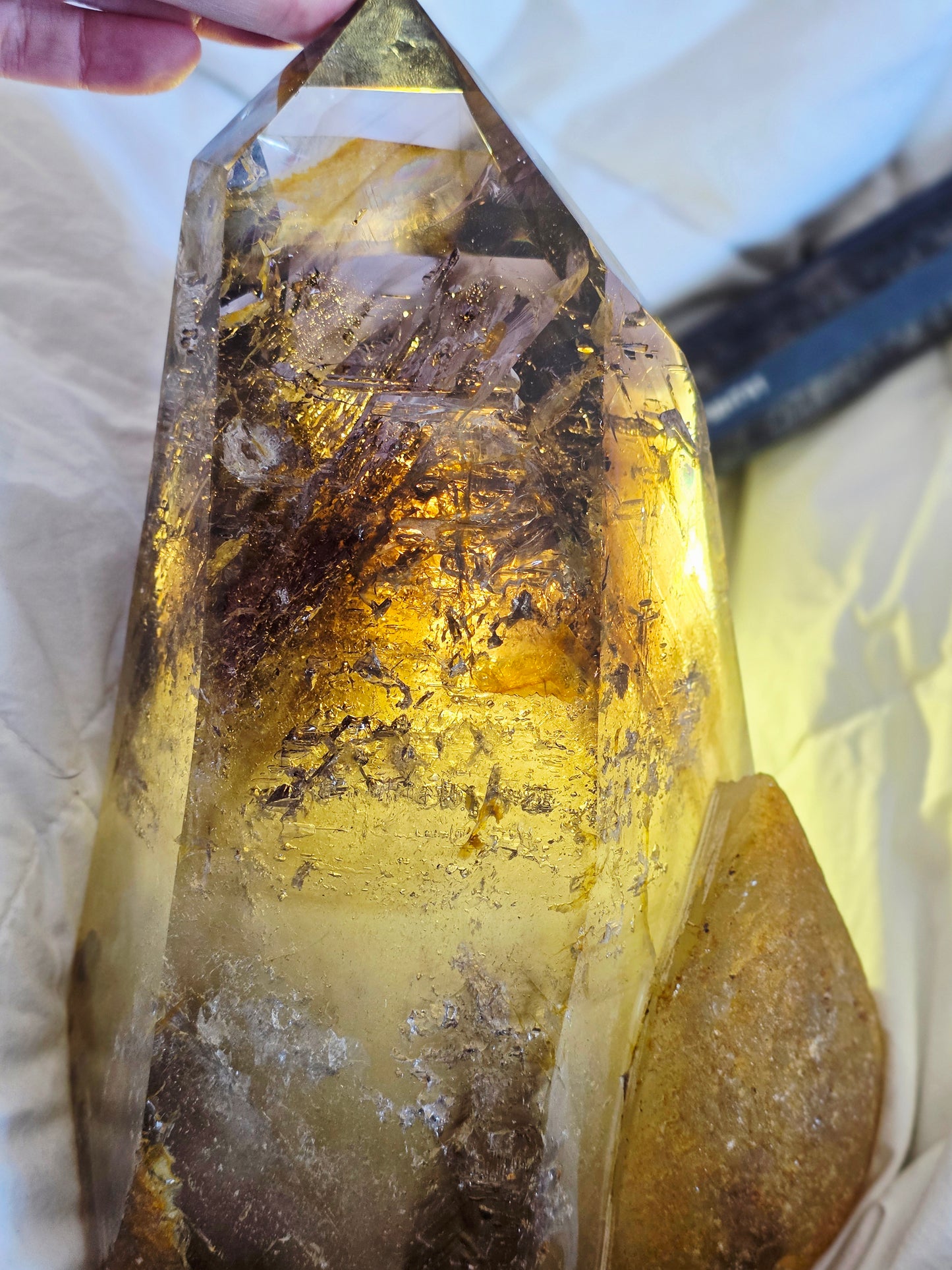 Enhydro Smokey Quartz 22lbs - Moving Bubbles - Rambo Flash on Wood Stand - Rare Collectable Crystal