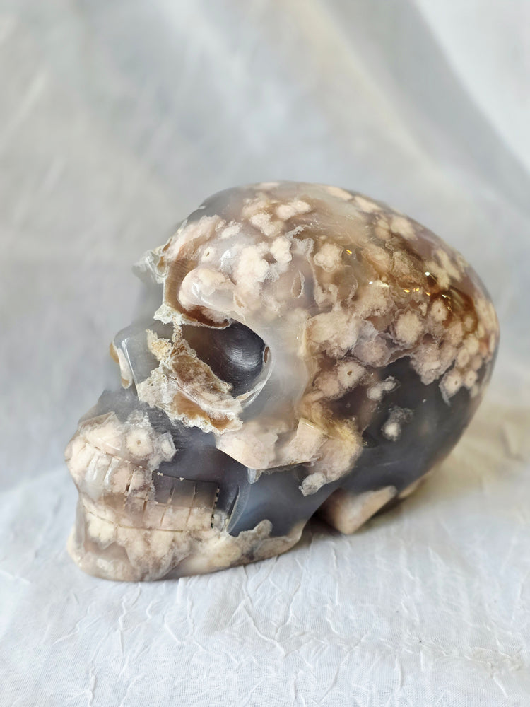 Skulls