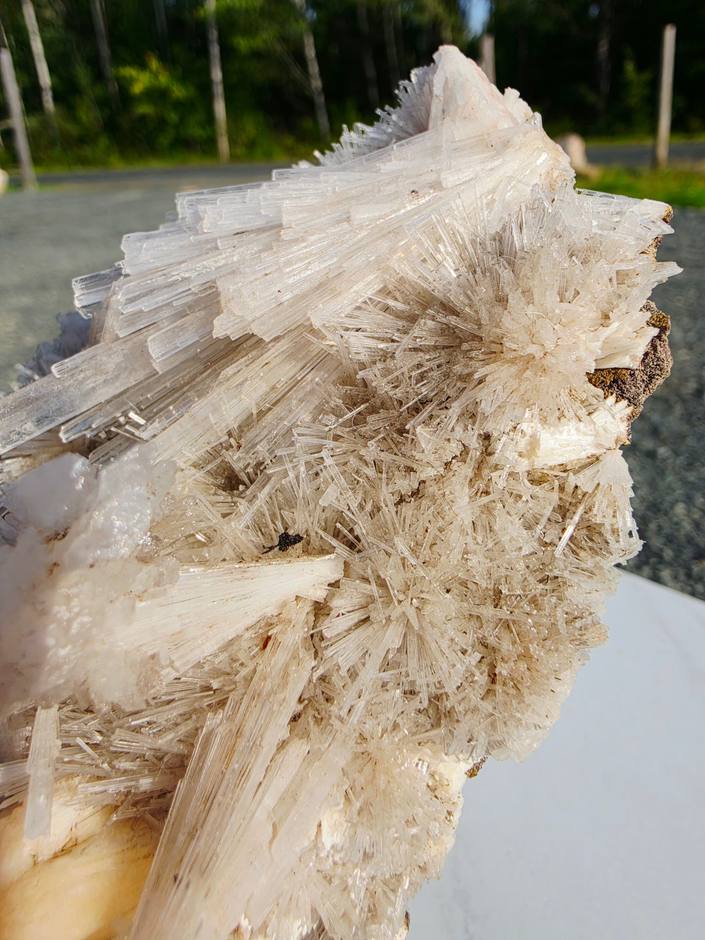 0.92 lb Scolecite Cluster on a Stilbite matrix with Stand From India