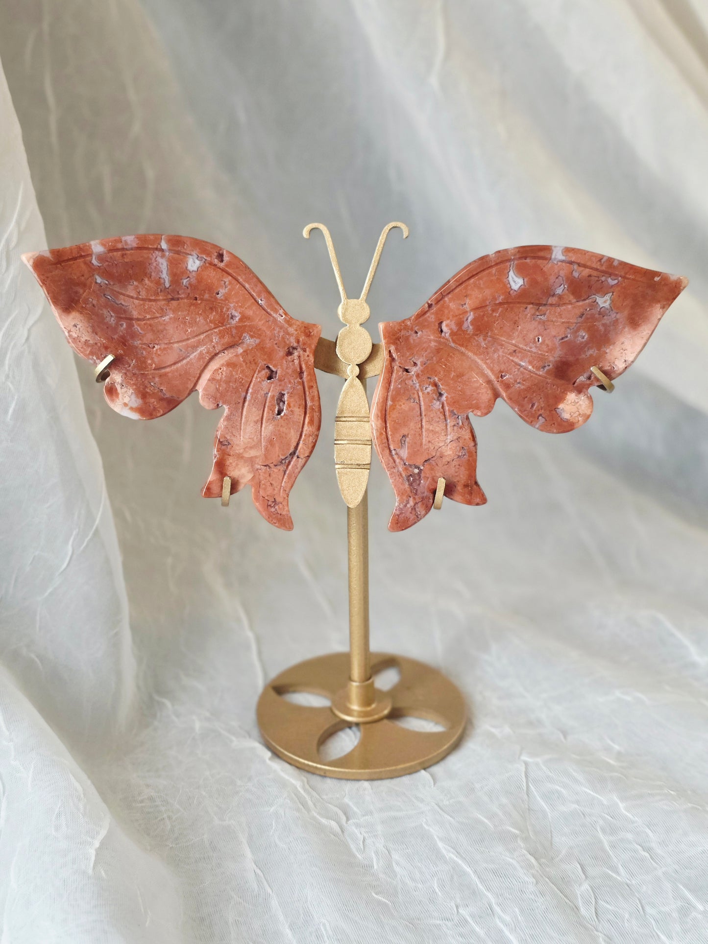 Butterfly Wings 10 Set including Stand - Mix Material Randomly Selected Bulk Wholesale