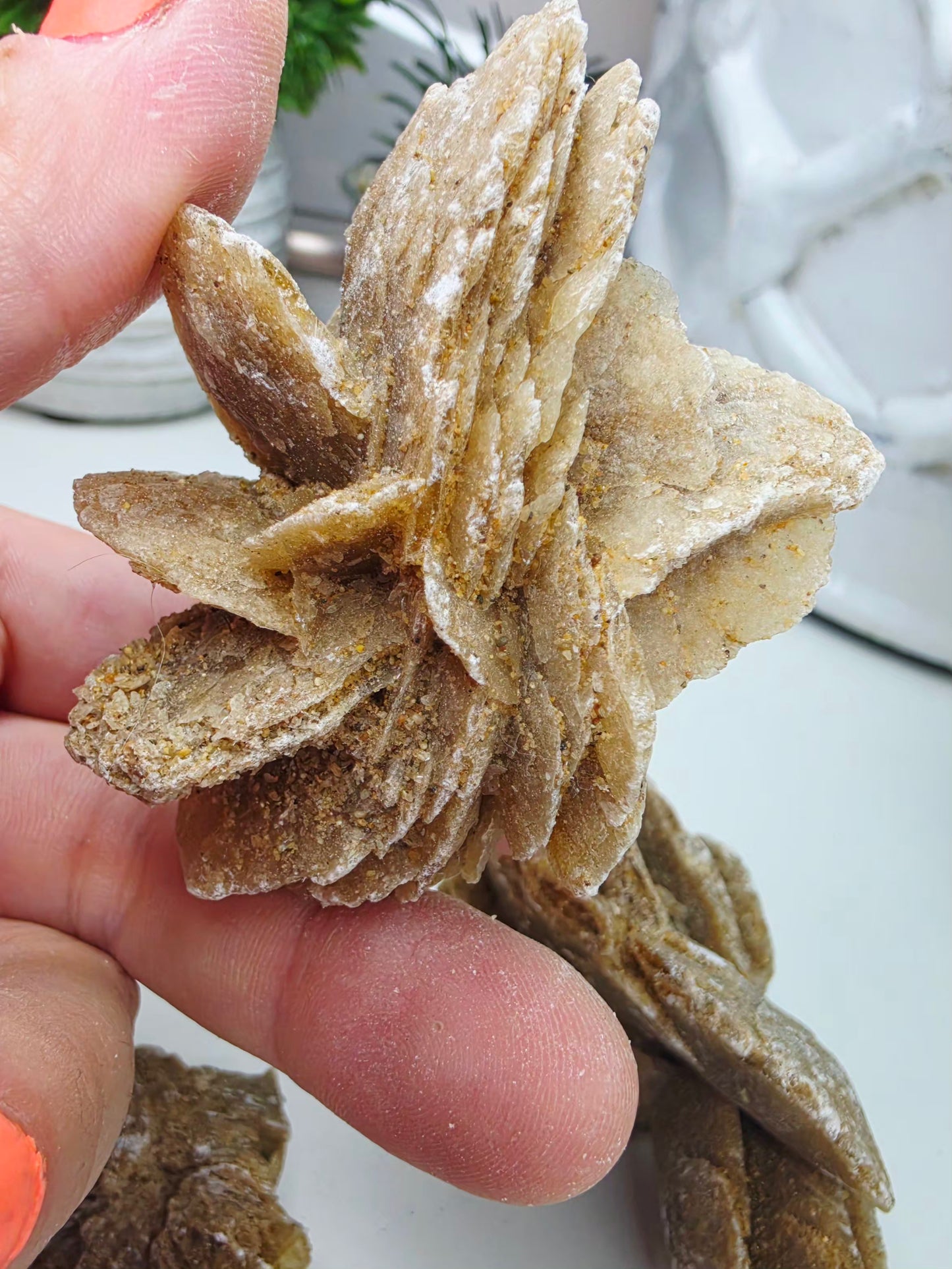 Raw Moroccan Desert Rose Crystal Cluster –  3 Naturals Gypsum Sand Rose Specimens