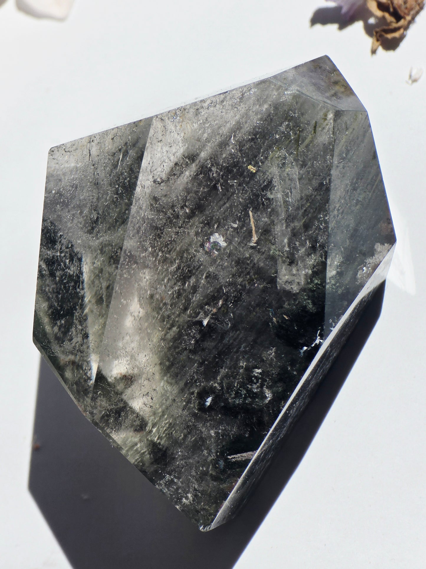 Garden Quartz Crystal Free-form Palm Size Clear