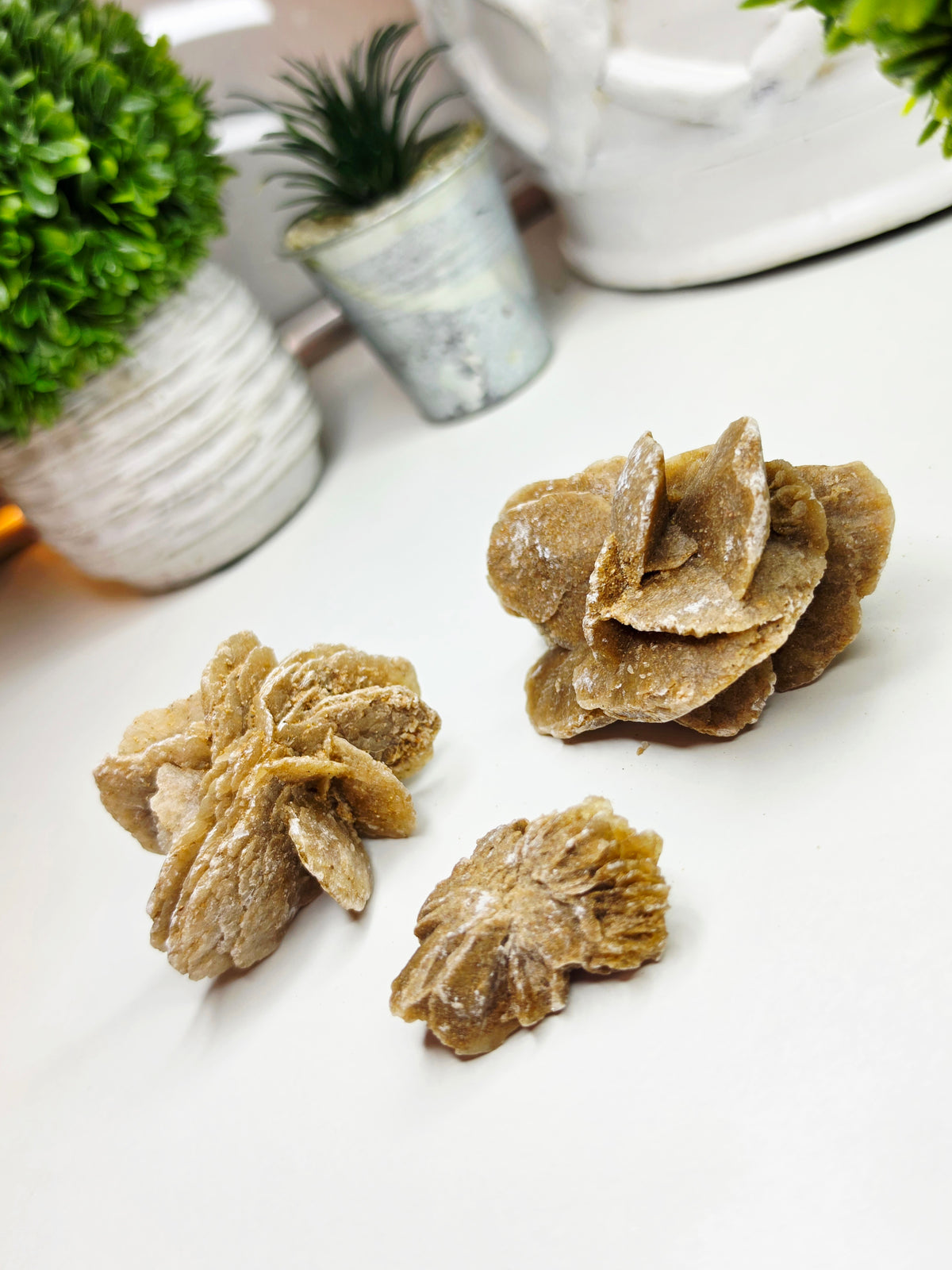 Raw Moroccan Desert Rose Crystal Cluster –  3 Naturals Gypsum Sand Rose Specimens
