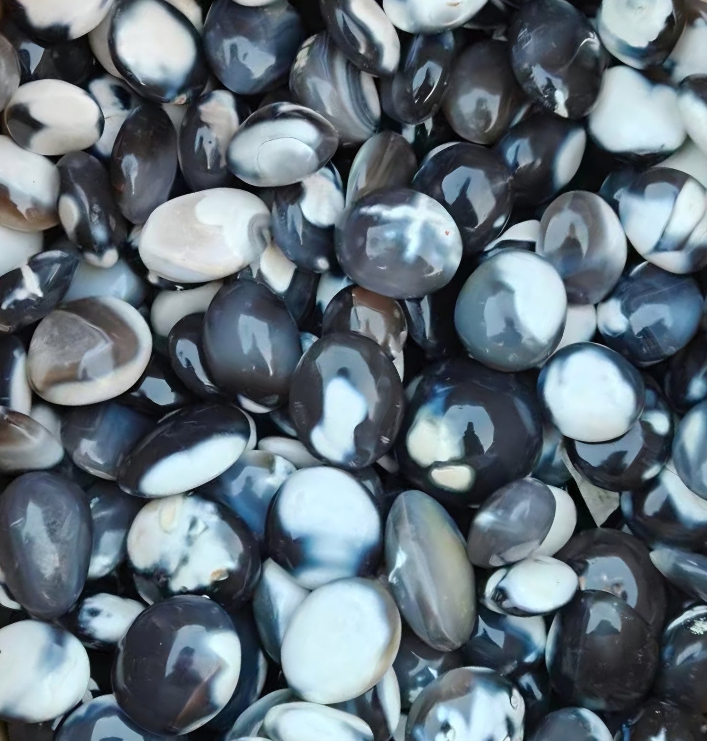 Whale Agate Palmstone Carving 1kg 10 pieces