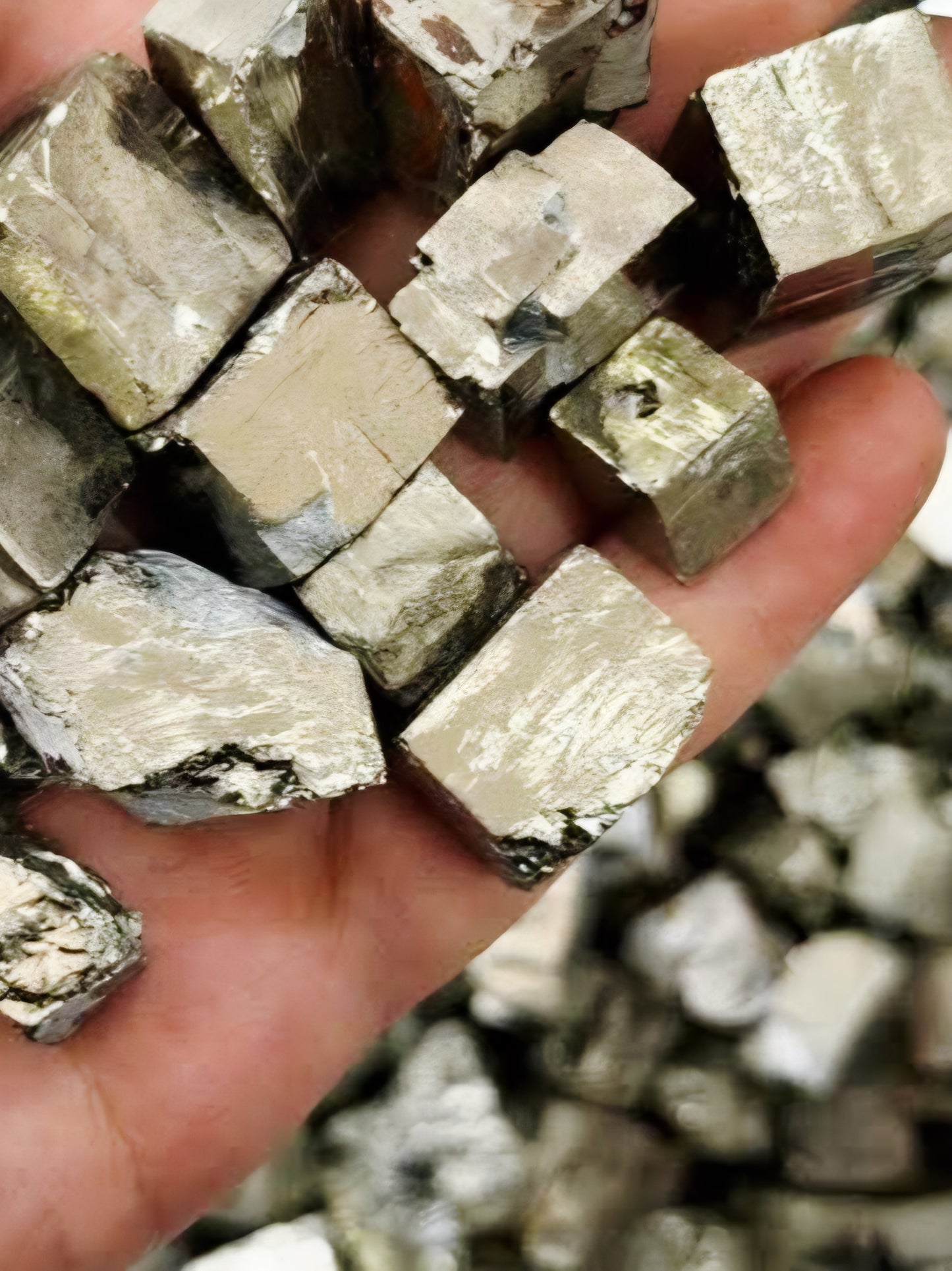 Pyrite cube 50 pieces - Bulk