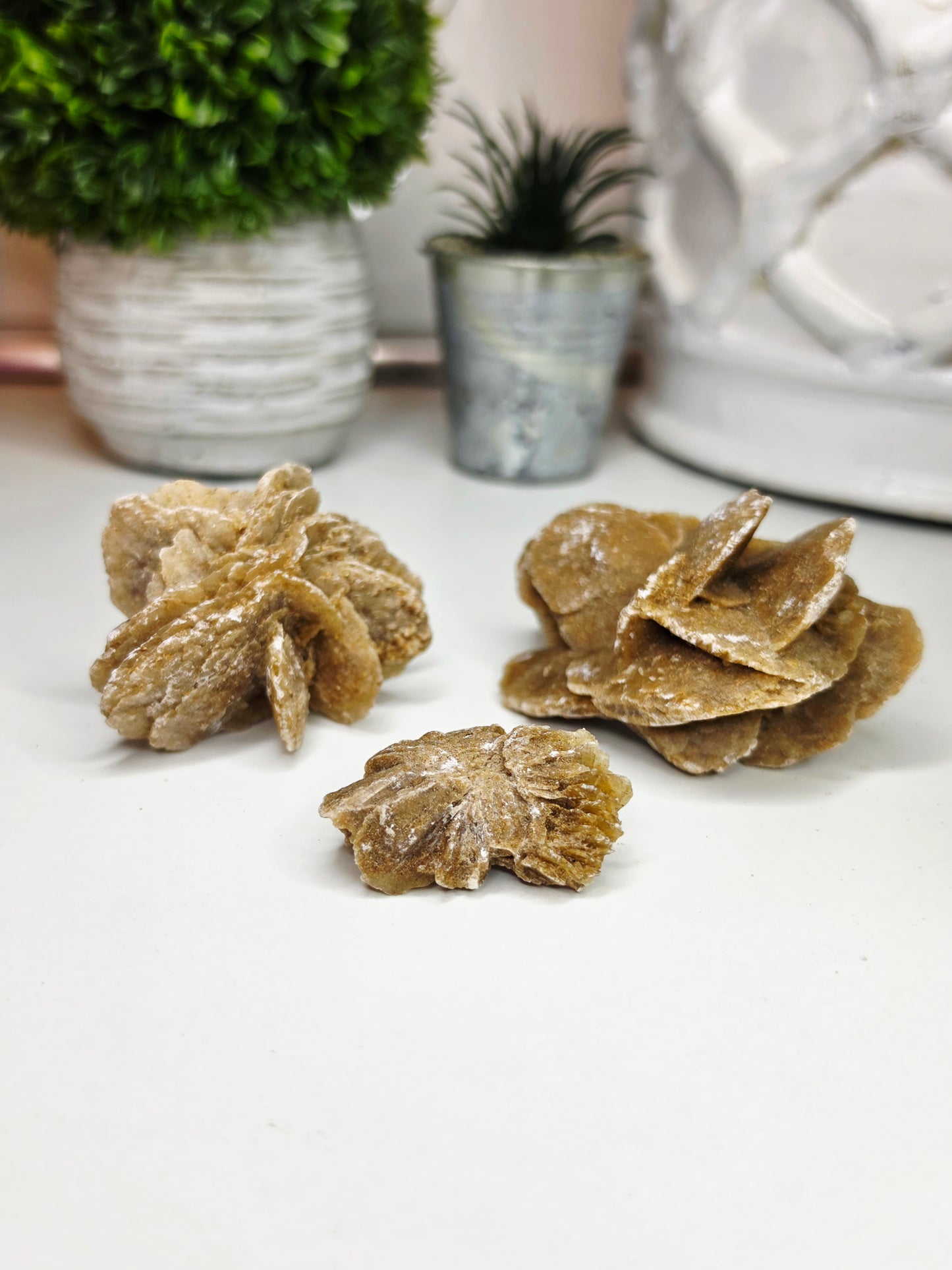 Raw Moroccan Desert Rose Crystal Cluster –  3 Naturals Gypsum Sand Rose Specimens