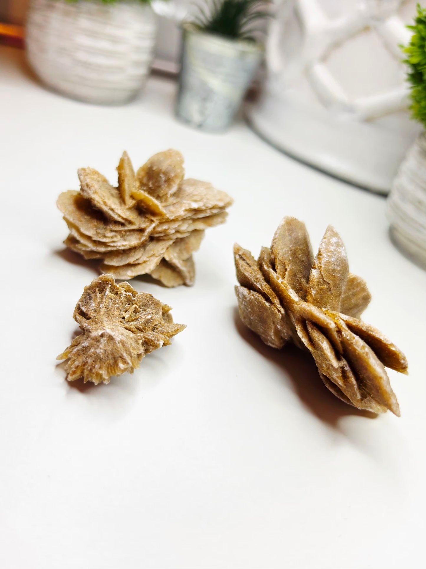 Raw Moroccan Desert Rose Crystal Cluster –  3 Naturals Gypsum Sand Rose Specimens