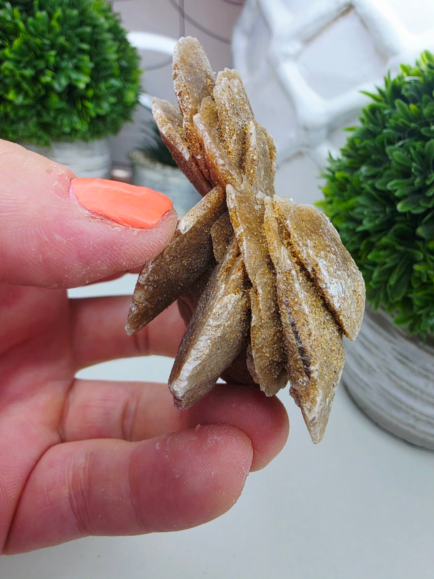 Raw Moroccan Desert Rose Crystal Cluster –  3 Naturals Gypsum Sand Rose Specimens