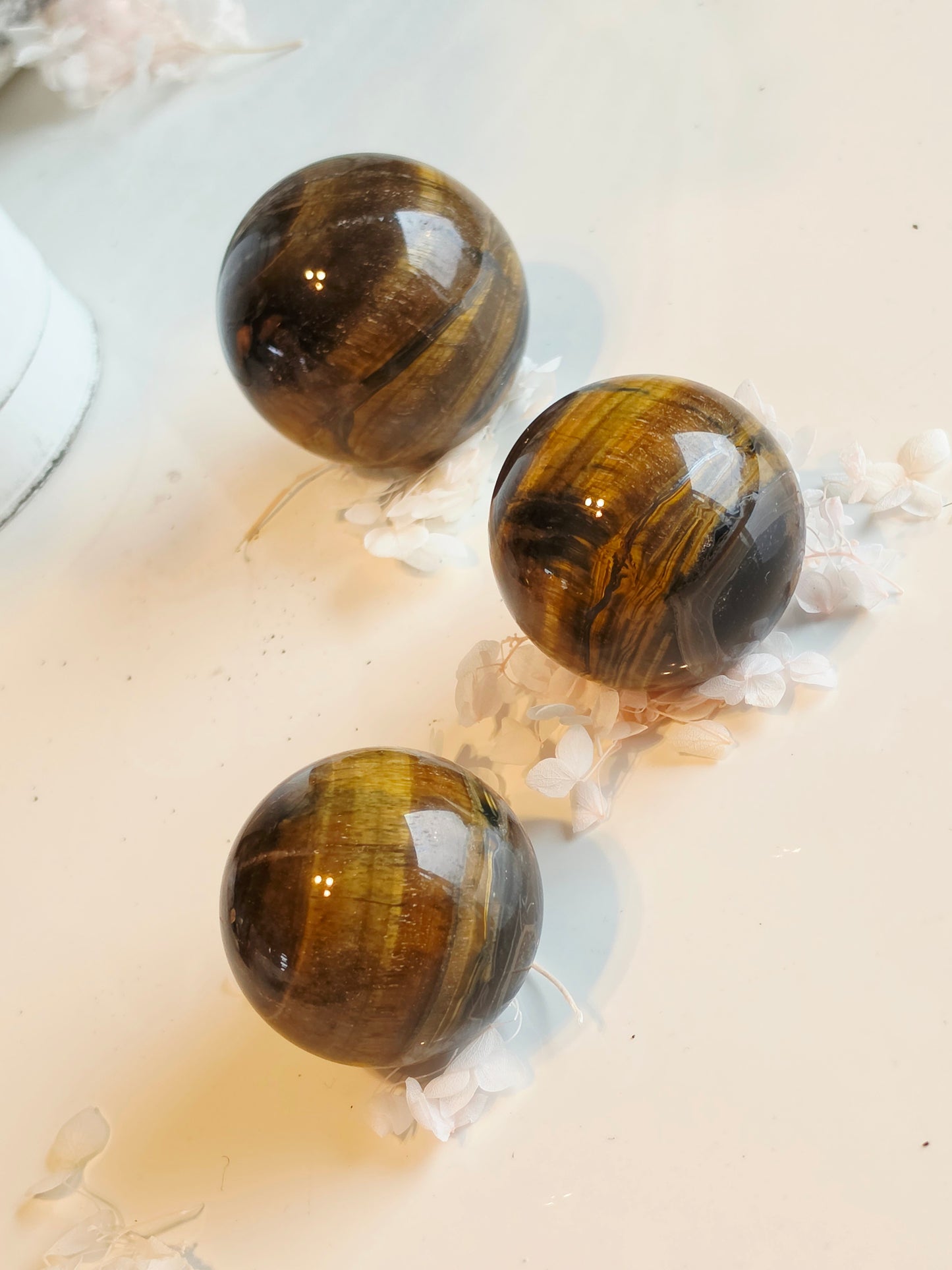Set of 3 Tiger eyes Sphere Wholesale Medium Size