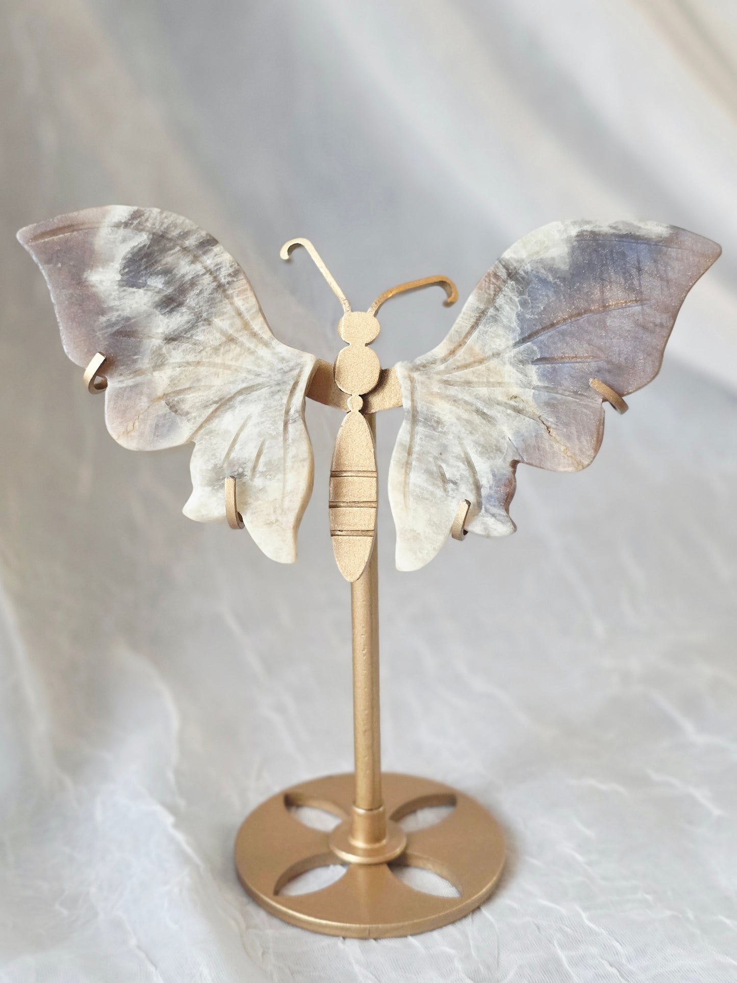 Butterfly Wings 10 Set including Stand - Mix Material Randomly Selected Bulk Wholesale