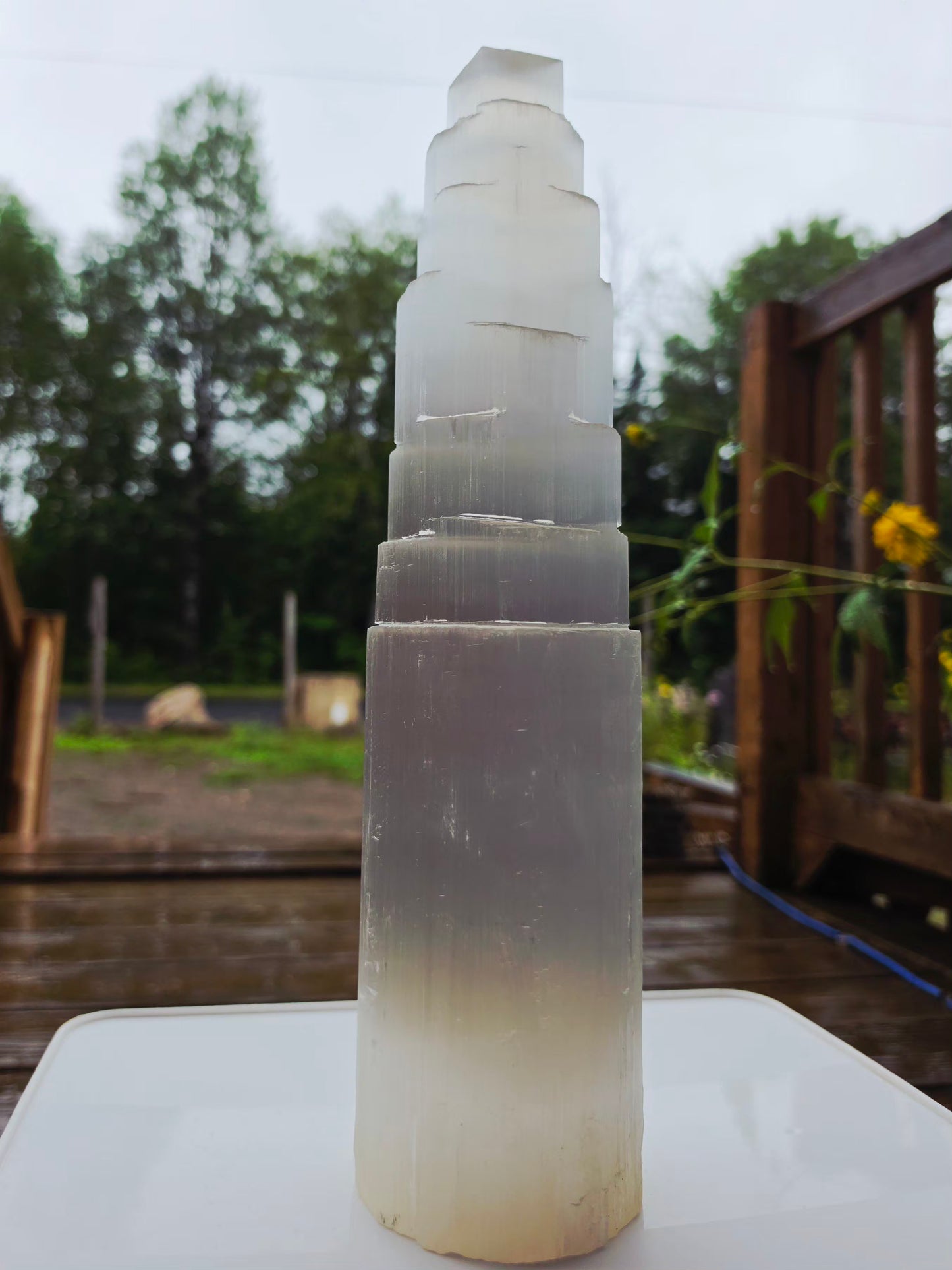 3.5kg Selenite Tower 14" Wood Lamp included Natural Mineral Statement Piece