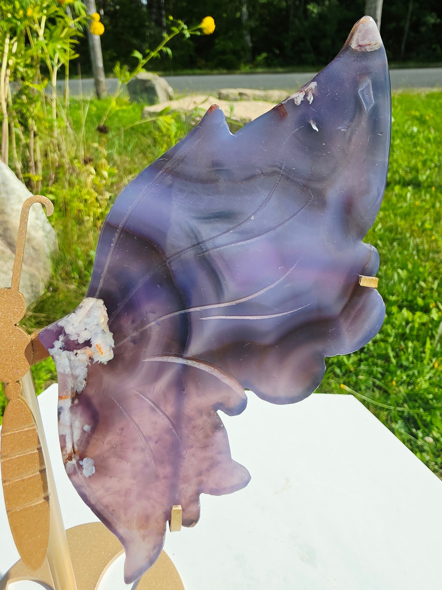1.14lbs Blue Flower Agate Butterfly Wings on Stand 25.5x20.3cm