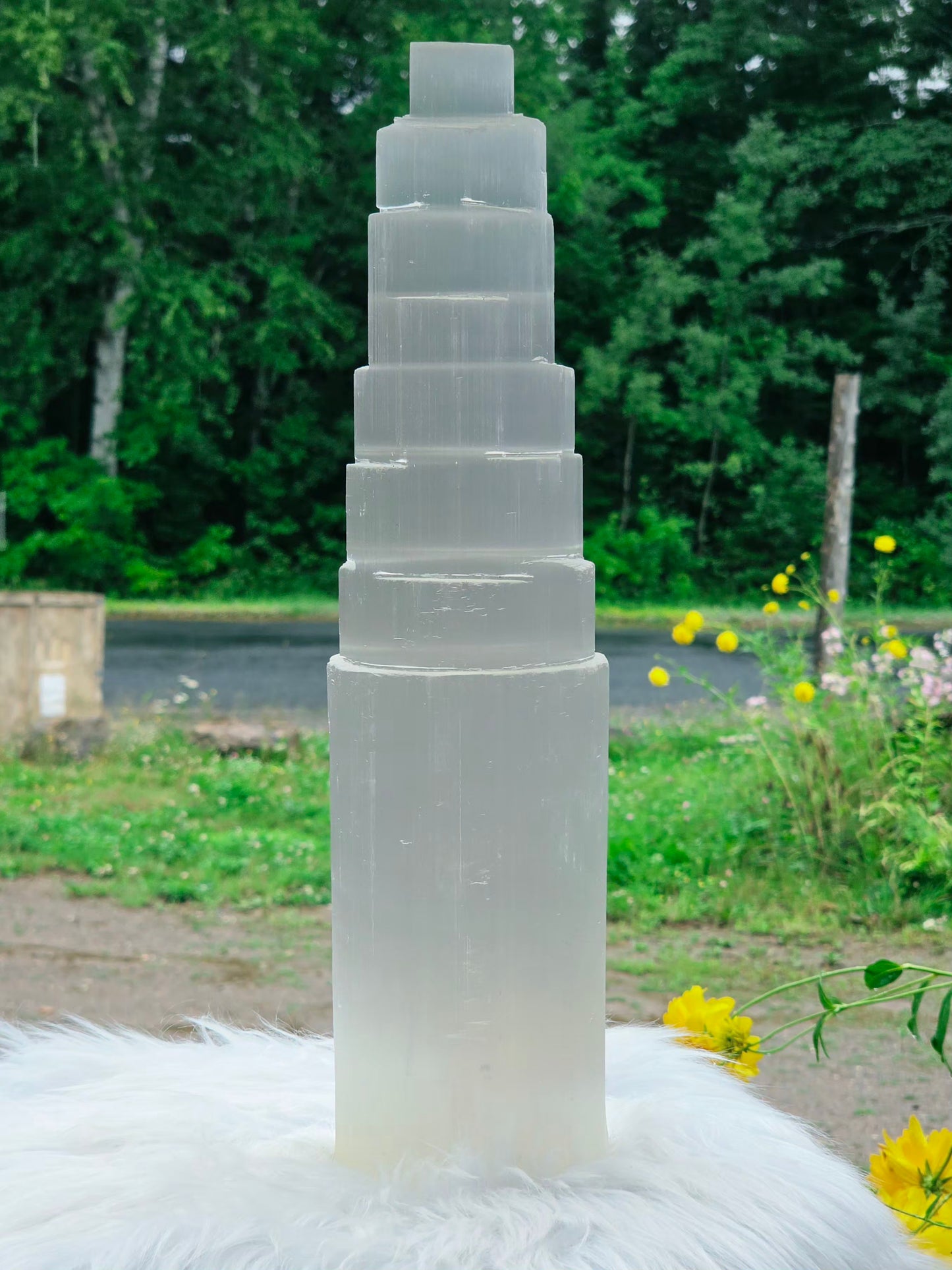 3.5kg Selenite Tower 14" Wood Lamp included Natural Mineral Statement Piece