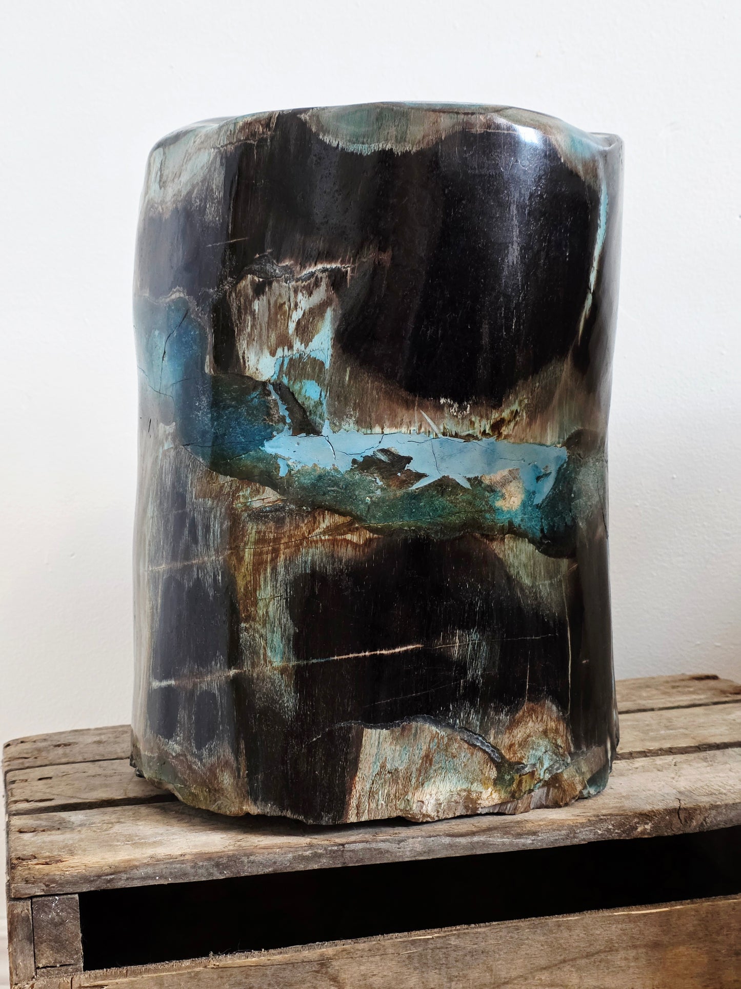 Rare Petrified Wood from Indonesia - Opalized Chrysocolla, 87 lbs Collectors Mineral