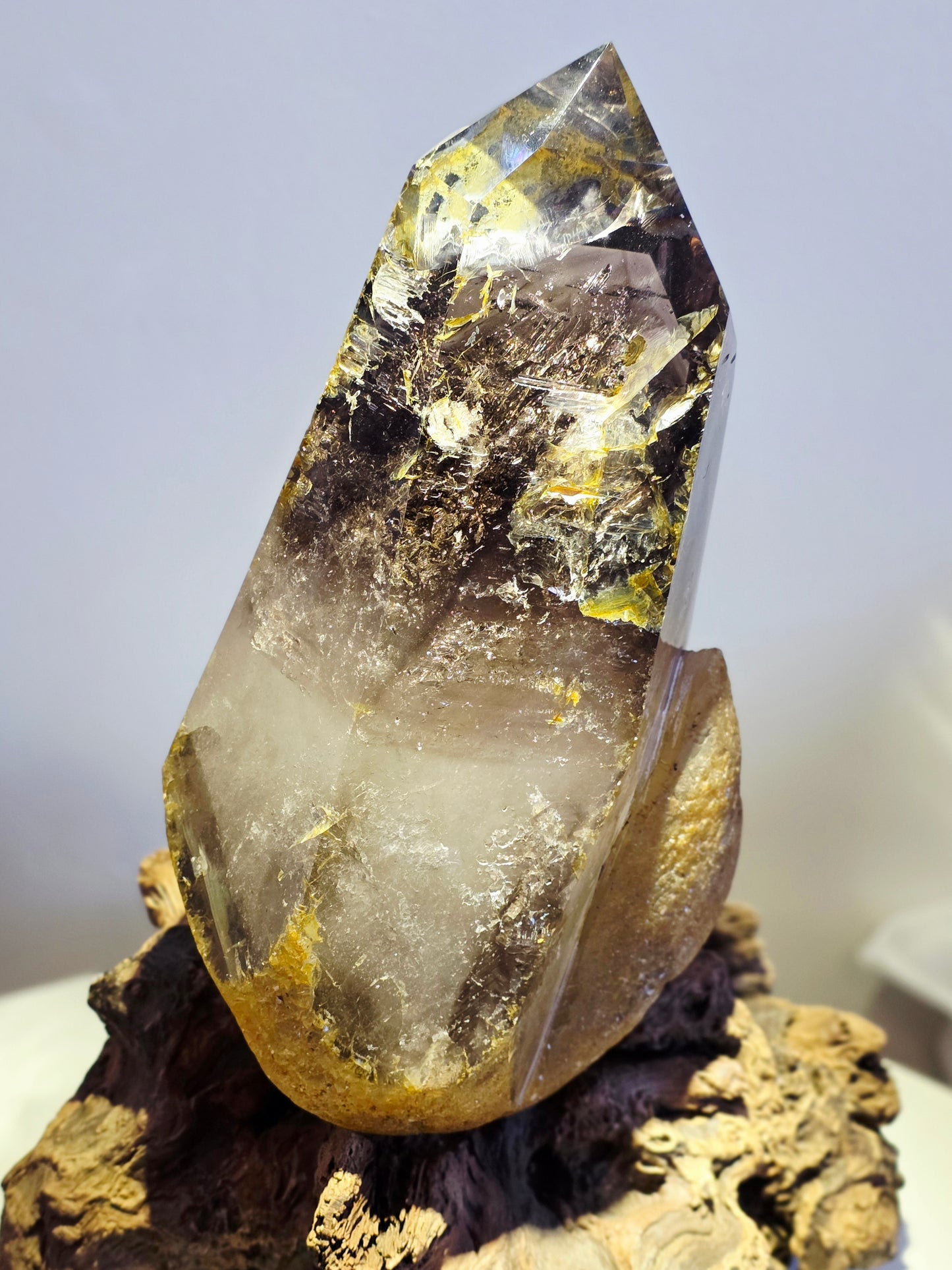 Enhydro Smokey Quartz 22lbs - Moving Bubbles - Rambo Flash on Wood Stand - Rare Collectable  Crystal