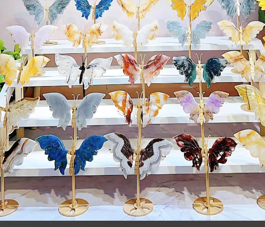 Butterfly Wings 10 Set including Stand - Mix Material Randomly Selected Bulk Wholesale