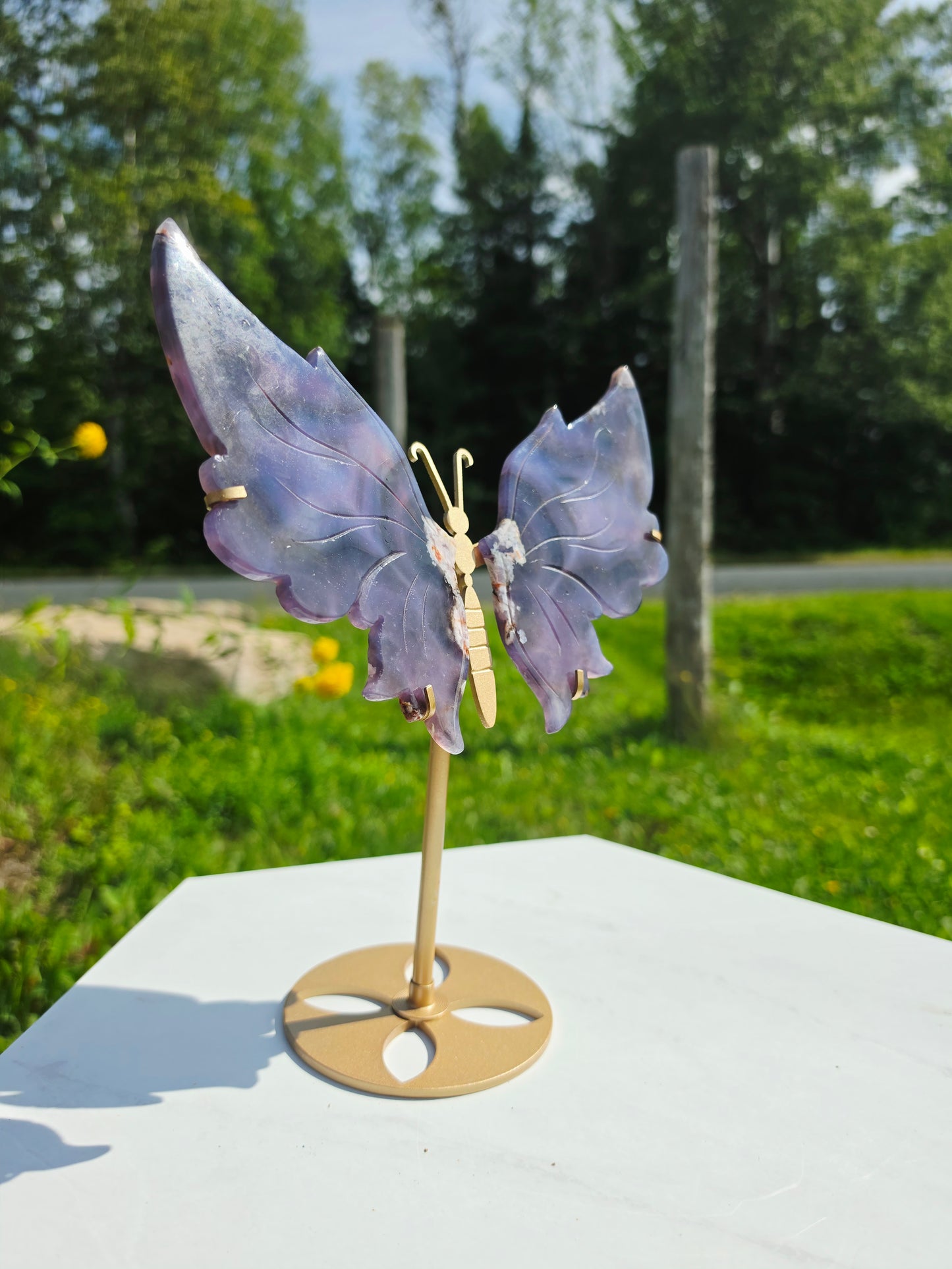 1.14lbs Blue Flower Agate Butterfly Wings on Stand 25.5x20.3cm