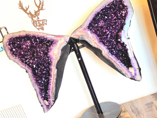 494 lbs Amethyst Wings from Brazil with Heavy Duty Custom - One of a Kind- Giant Statement Piece - Deep Purple with Calcite