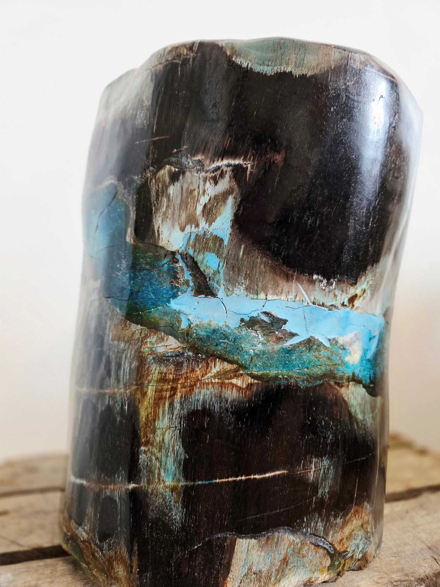 Rare Petrified Wood from Indonesia - Opalized Chrysocolla, 87 lbs Collectors Mineral