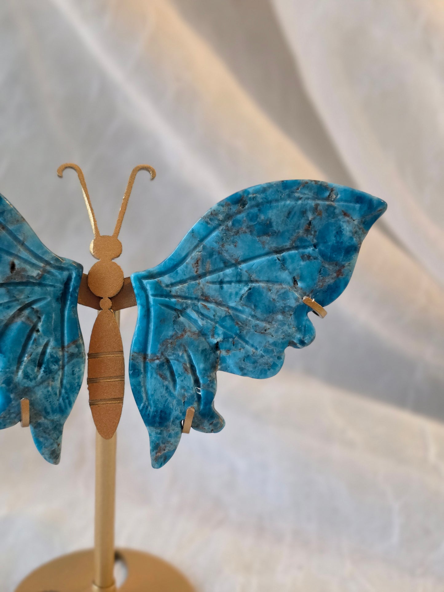 Blue Apatite Butterfly Wings Carving on Stand