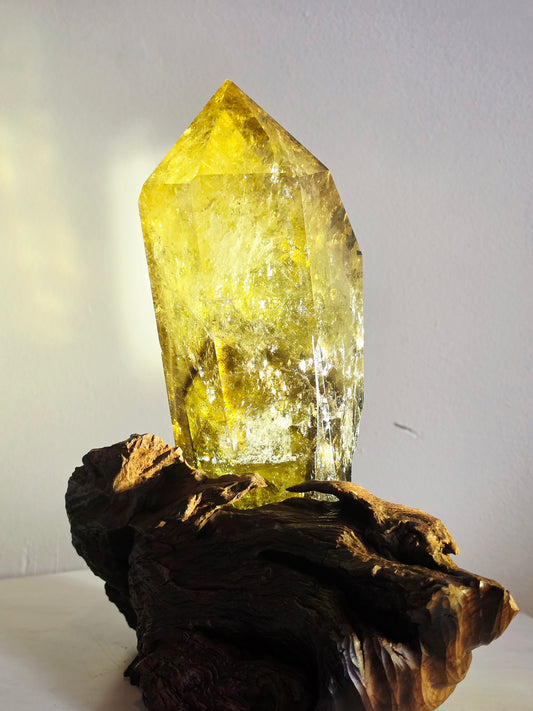 Citrine Crystal Quartz Raw Point with Wood Base 2kg