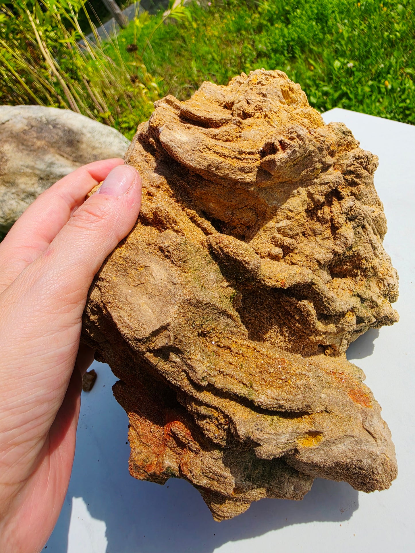 5.13kg Pre-Petrified Wood Druzy from India Collector Pieces