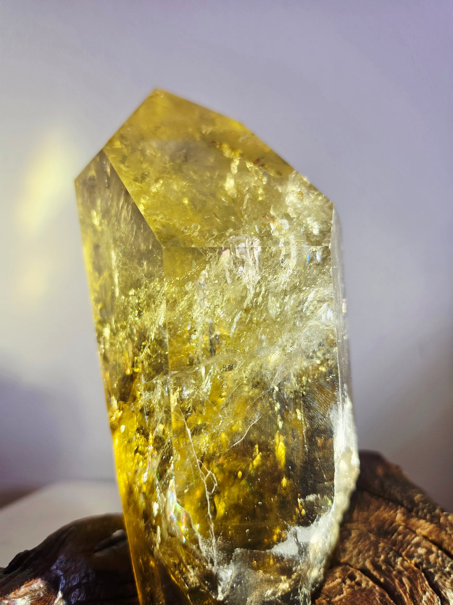 Citrine Crystal Quartz Raw Point with Wood Base 2kg