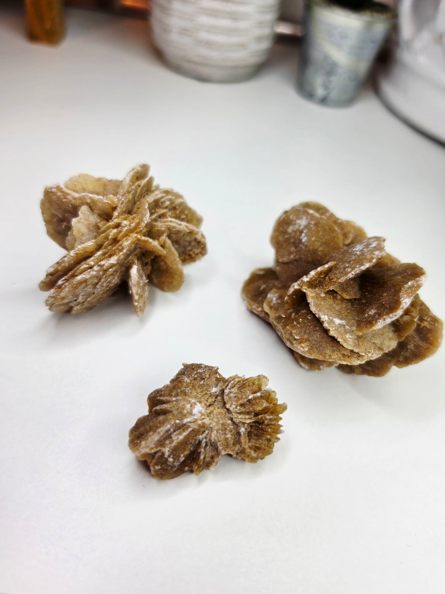 Raw Moroccan Desert Rose Crystal Cluster –  3 Naturals Gypsum Sand Rose Specimens