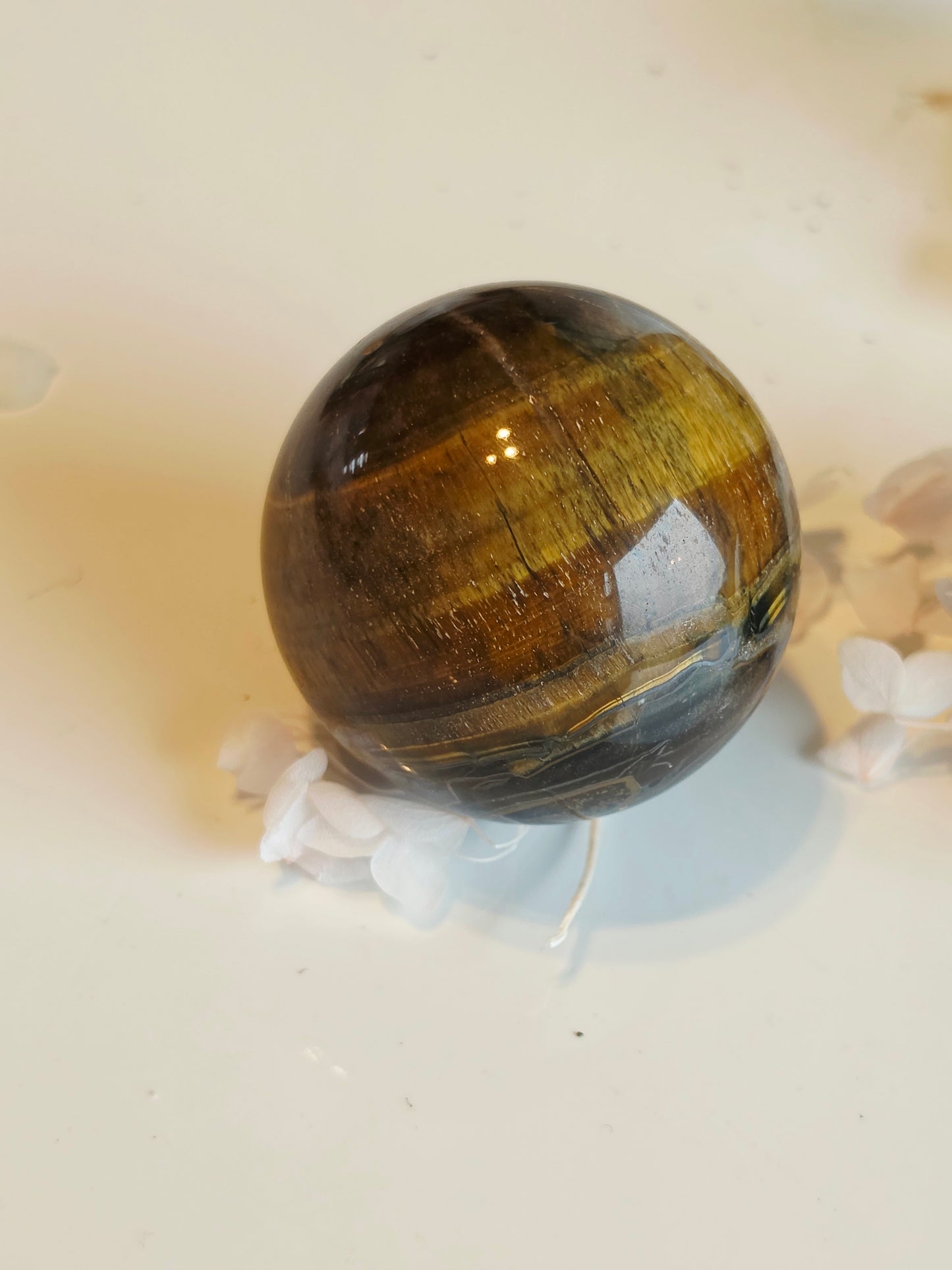 Set of 3 Tiger eyes Sphere Wholesale Medium Size