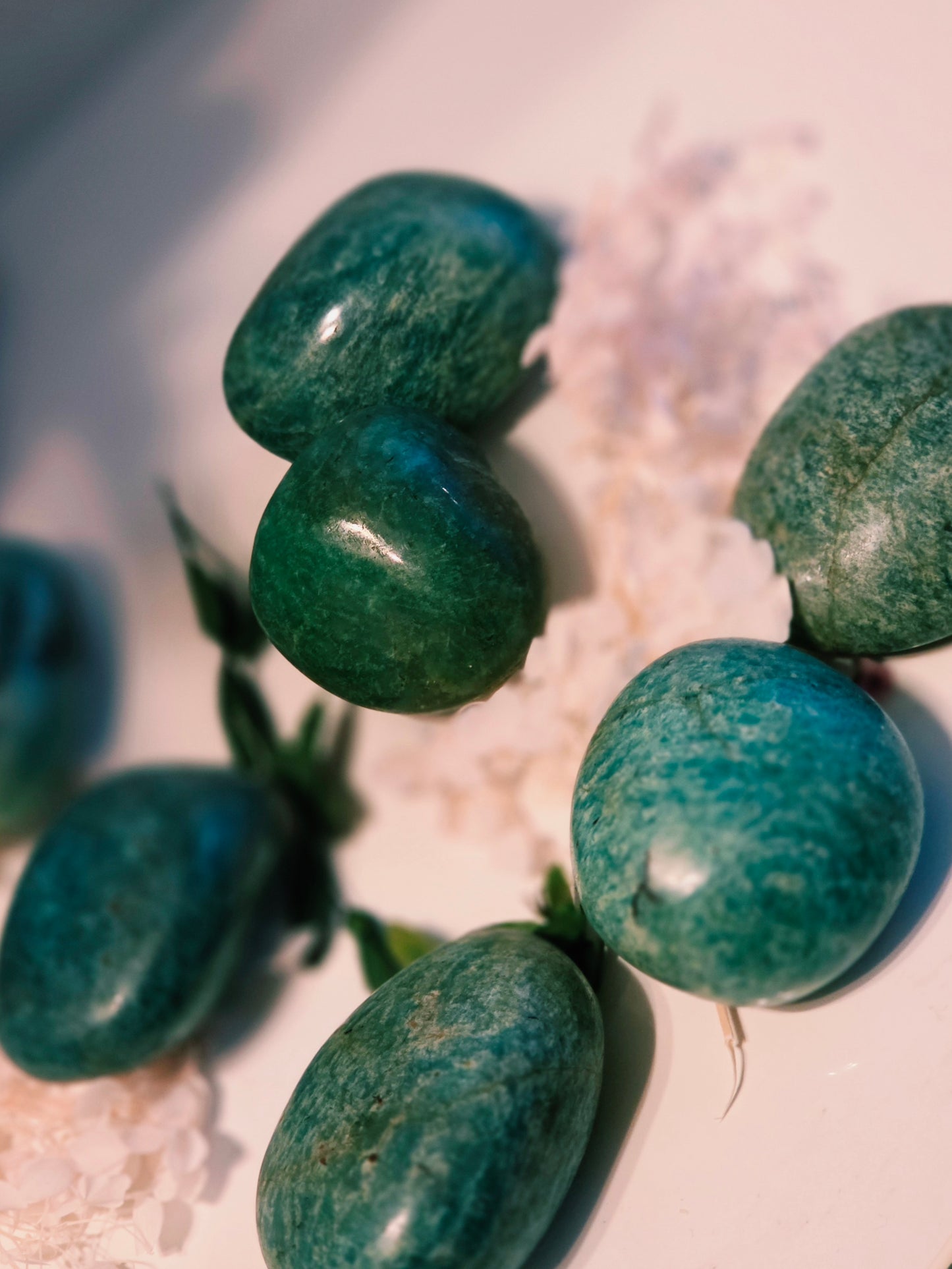 Amazonite Palmstone Lot of 7 Wholesale