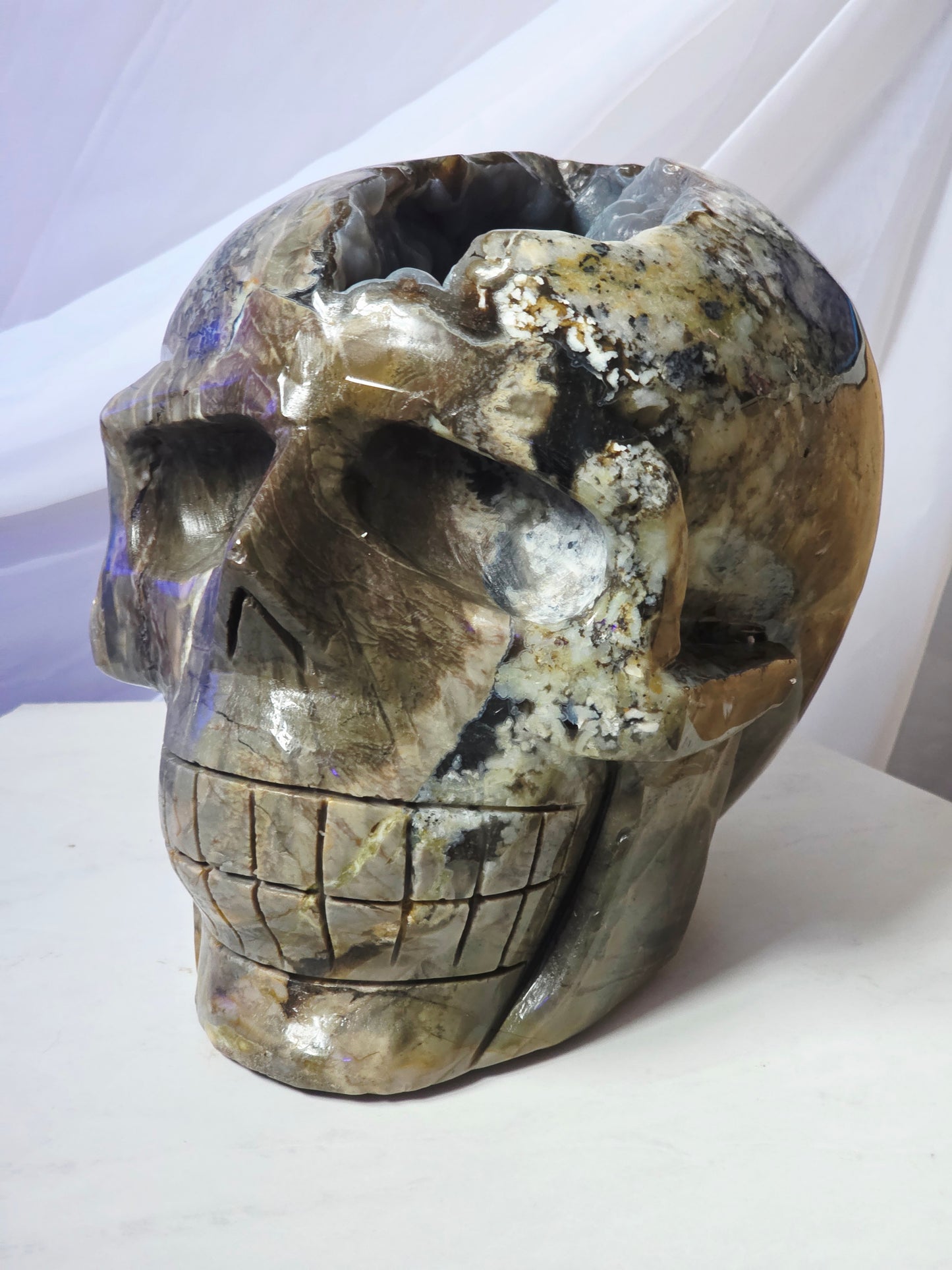 22 Pounds Skull Volcano Agate with Botryoidal UV Geode Hand Carved Mayan Statement Piece