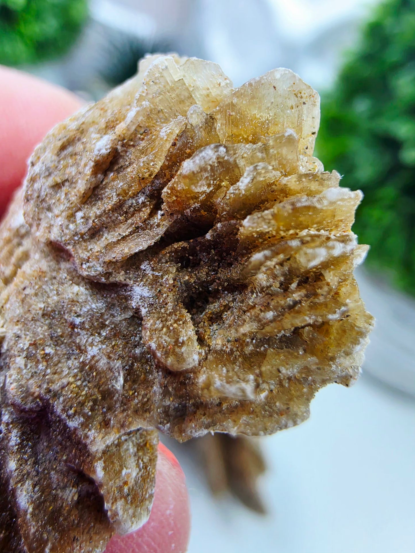 Raw Moroccan Desert Rose Crystal Cluster –  3 Naturals Gypsum Sand Rose Specimens