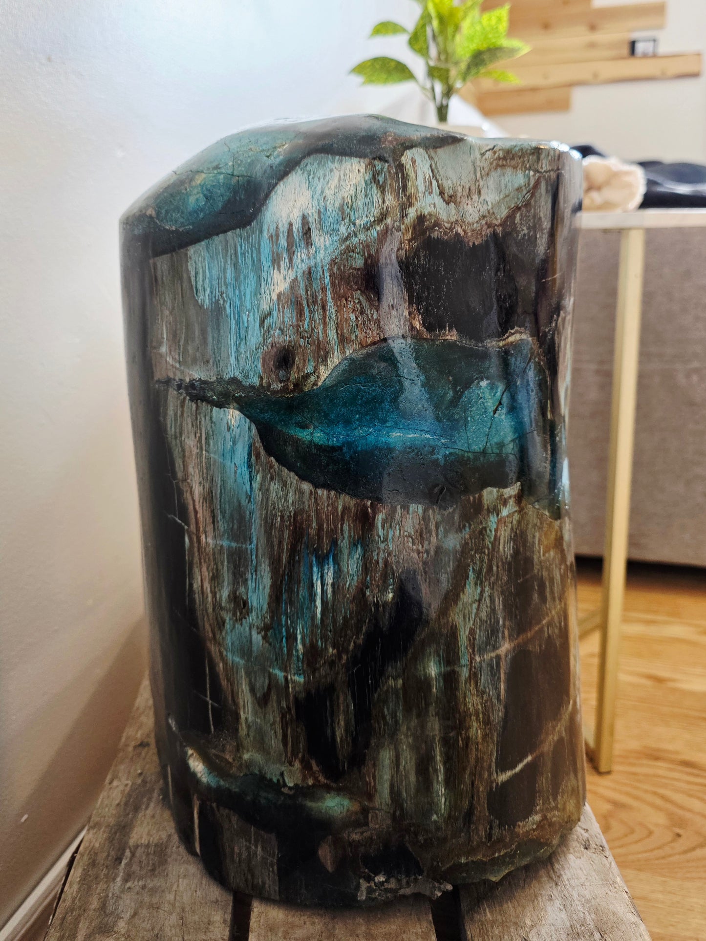 Rare Petrified Wood from Indonesia - Opalized Chrysocolla, 87 lbs Collectors Mineral