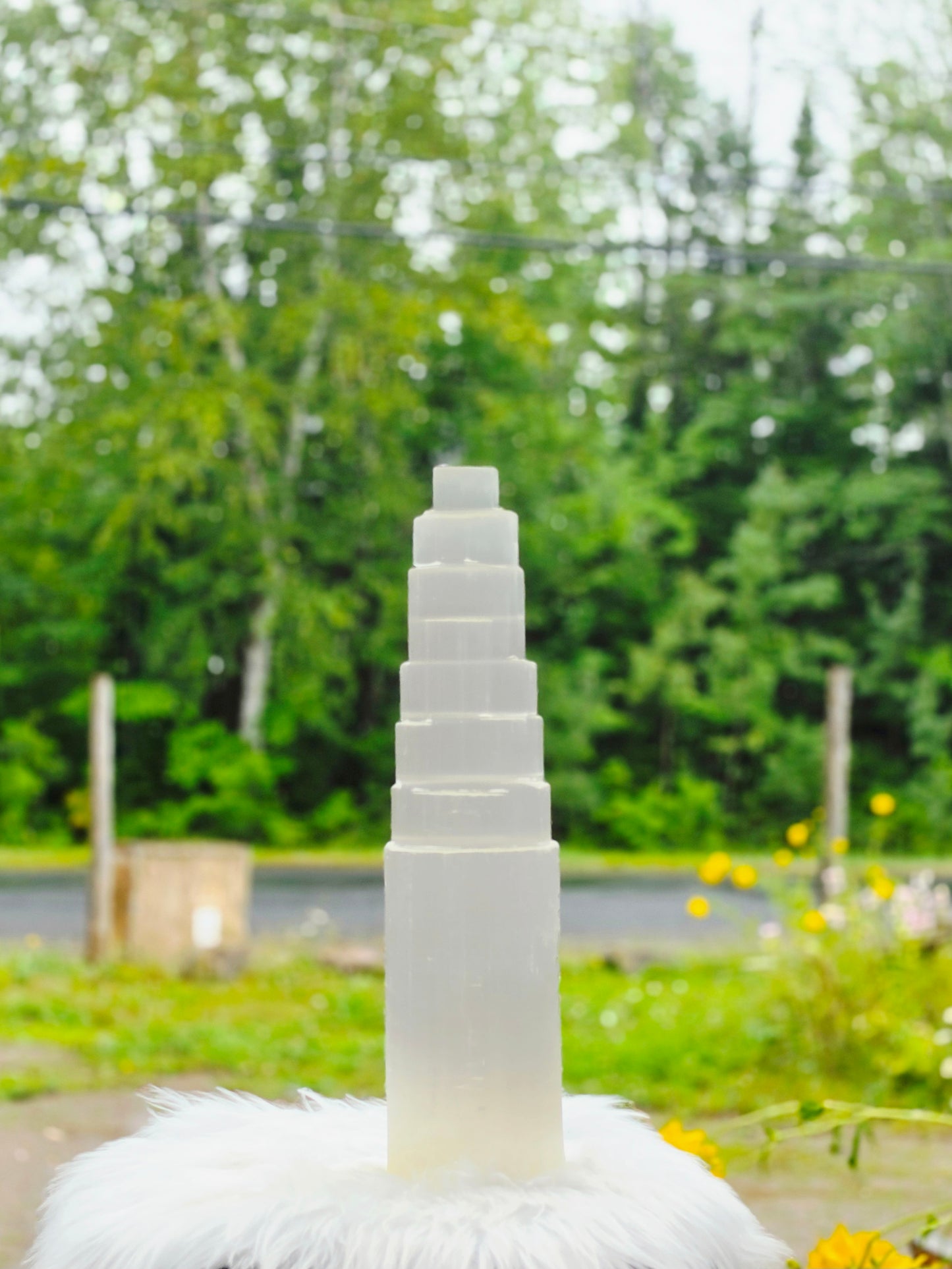 3.5kg Selenite Tower 14" Wood Lamp included Natural Mineral Statement Piece