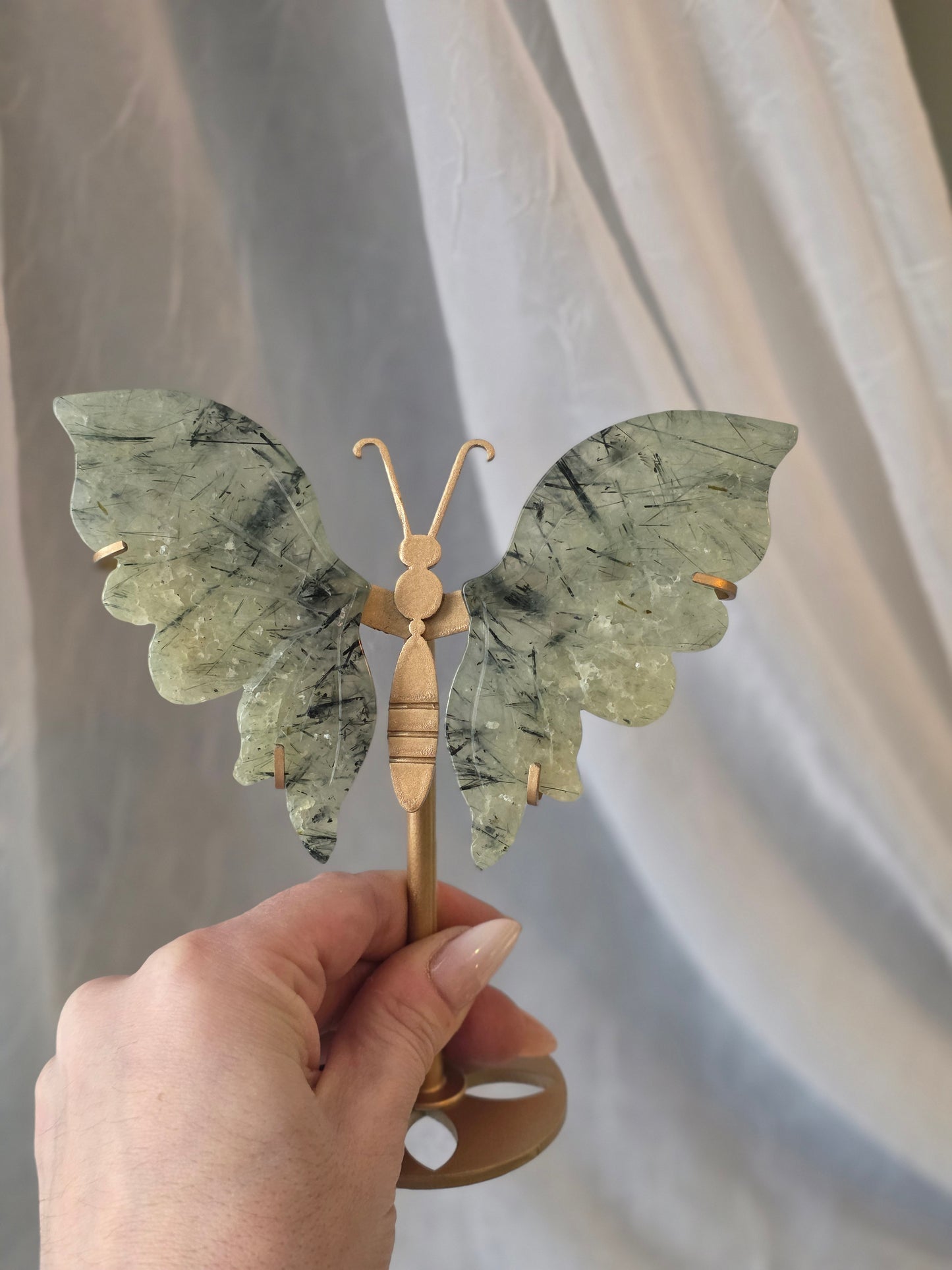 Butterfly Wings 10 Set including Stand - Mix Material Randomly Selected Bulk Wholesale