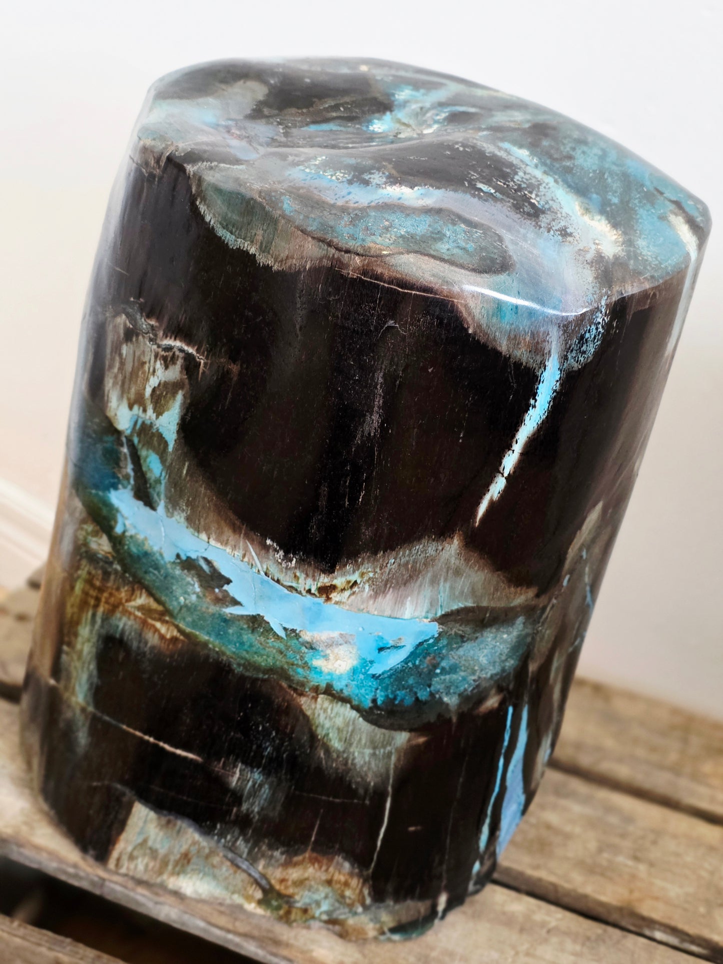 Rare Petrified Wood from Indonesia - Opalized Chrysocolla, 87 lbs Collectors Mineral