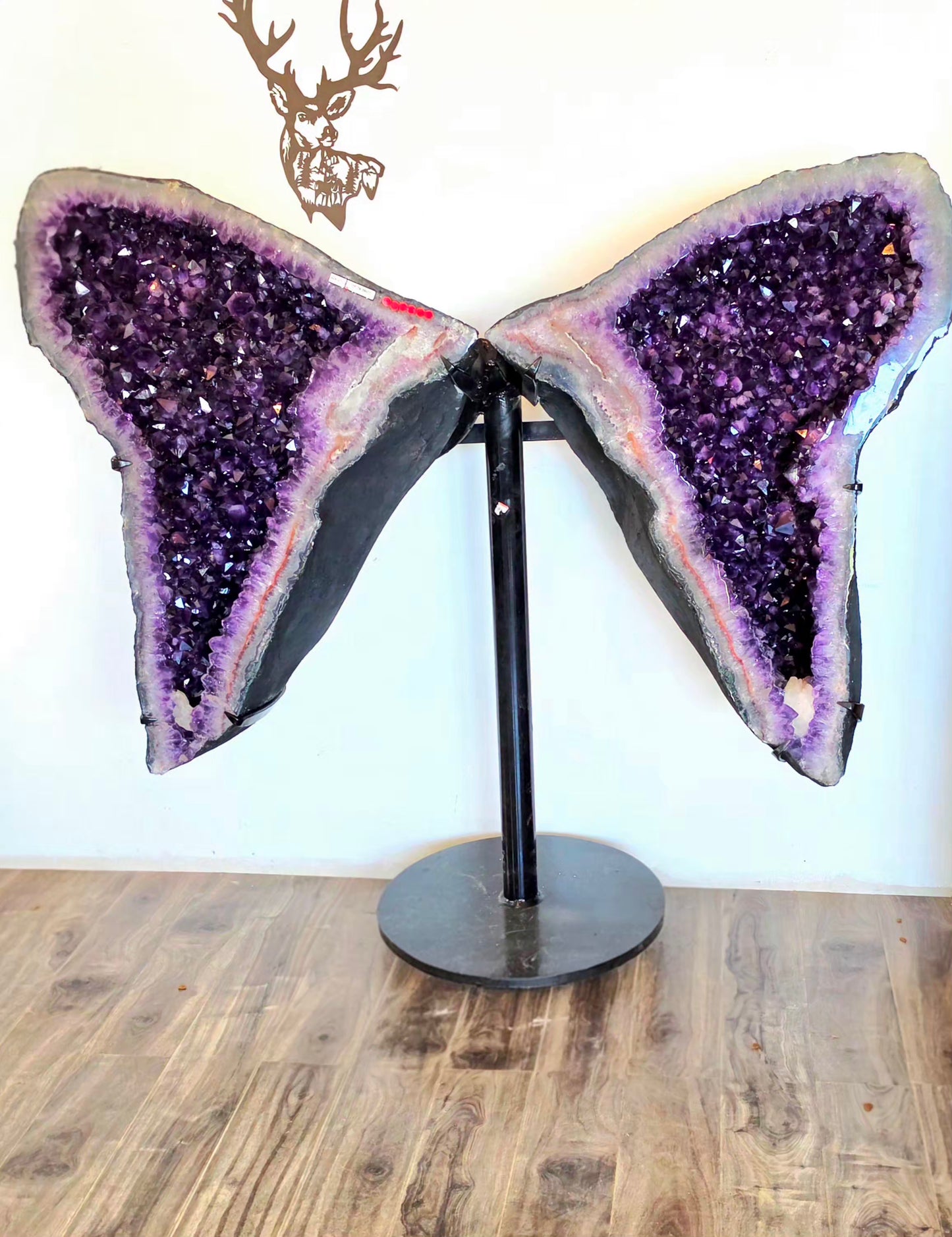 494 lbs Amethyst Wings from Brazil with Heavy Duty Custom - One of a Kind- Giant Statement Piece - Deep Purple with Calcite