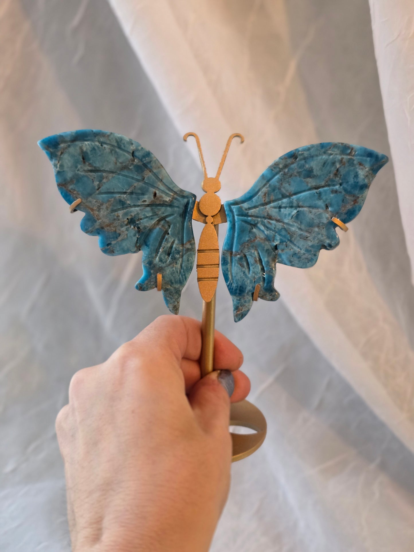 Blue Apatite Butterfly Wings Carving on Stand
