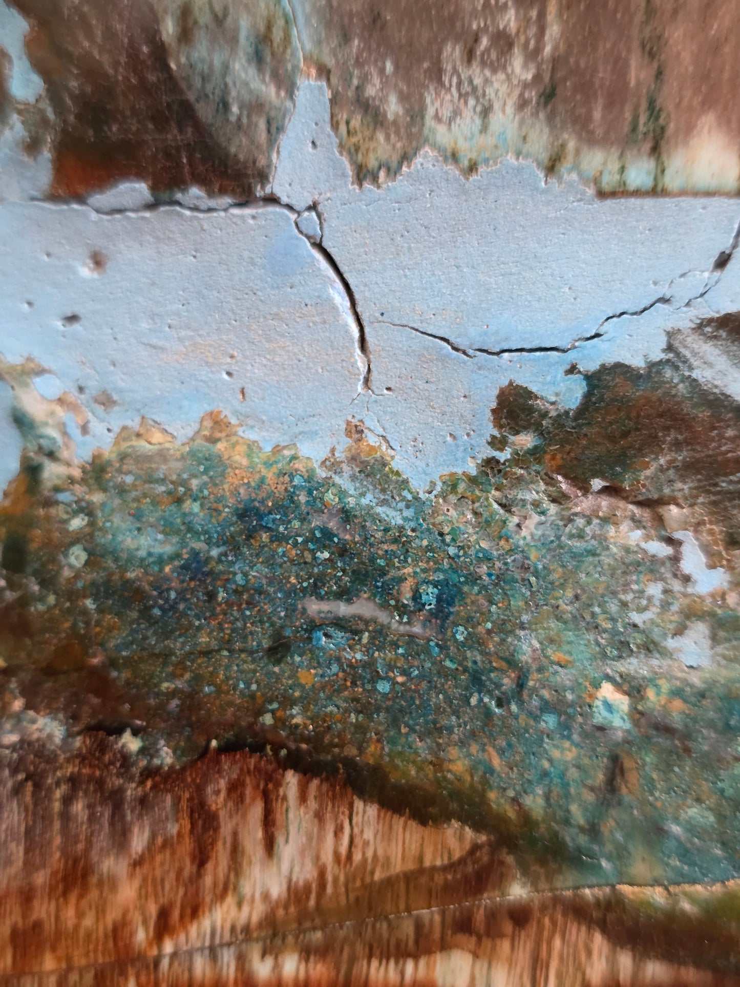 Rare Petrified Wood from Indonesia - Opalized Chrysocolla, 87 lbs Collectors Mineral