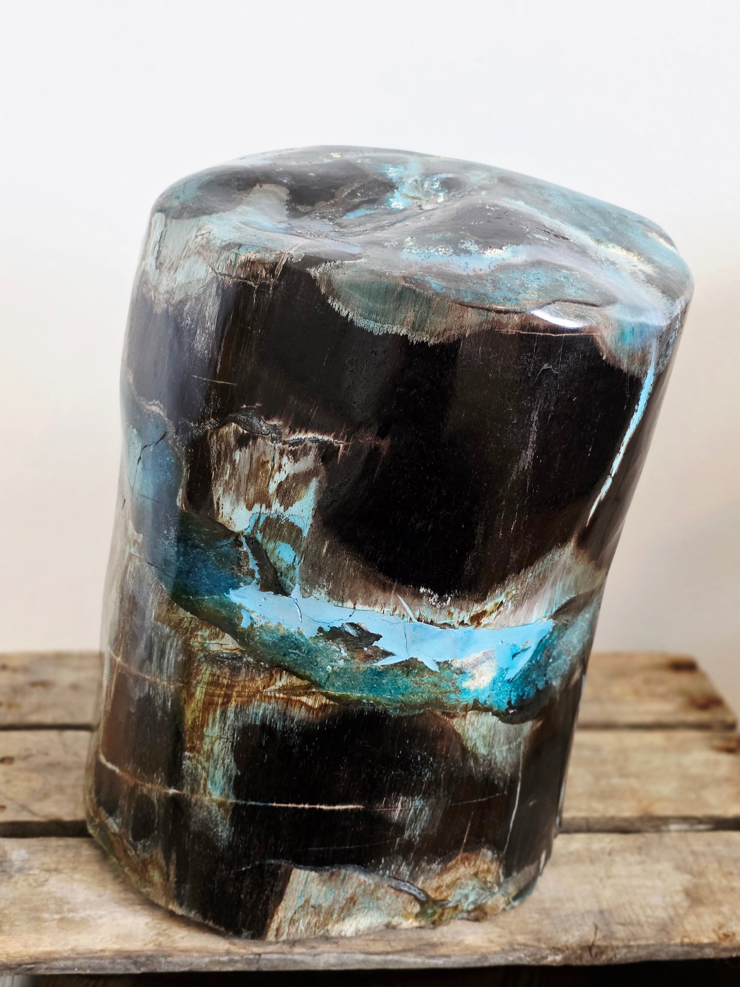 Rare Petrified Wood from Indonesia - Opalized Chrysocolla, 87 lbs Collectors Mineral