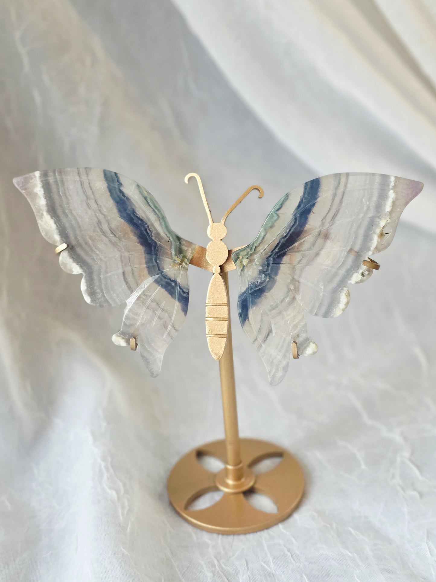 Butterfly Wings 10 Set including Stand - Mix Material Randomly Selected Bulk Wholesale