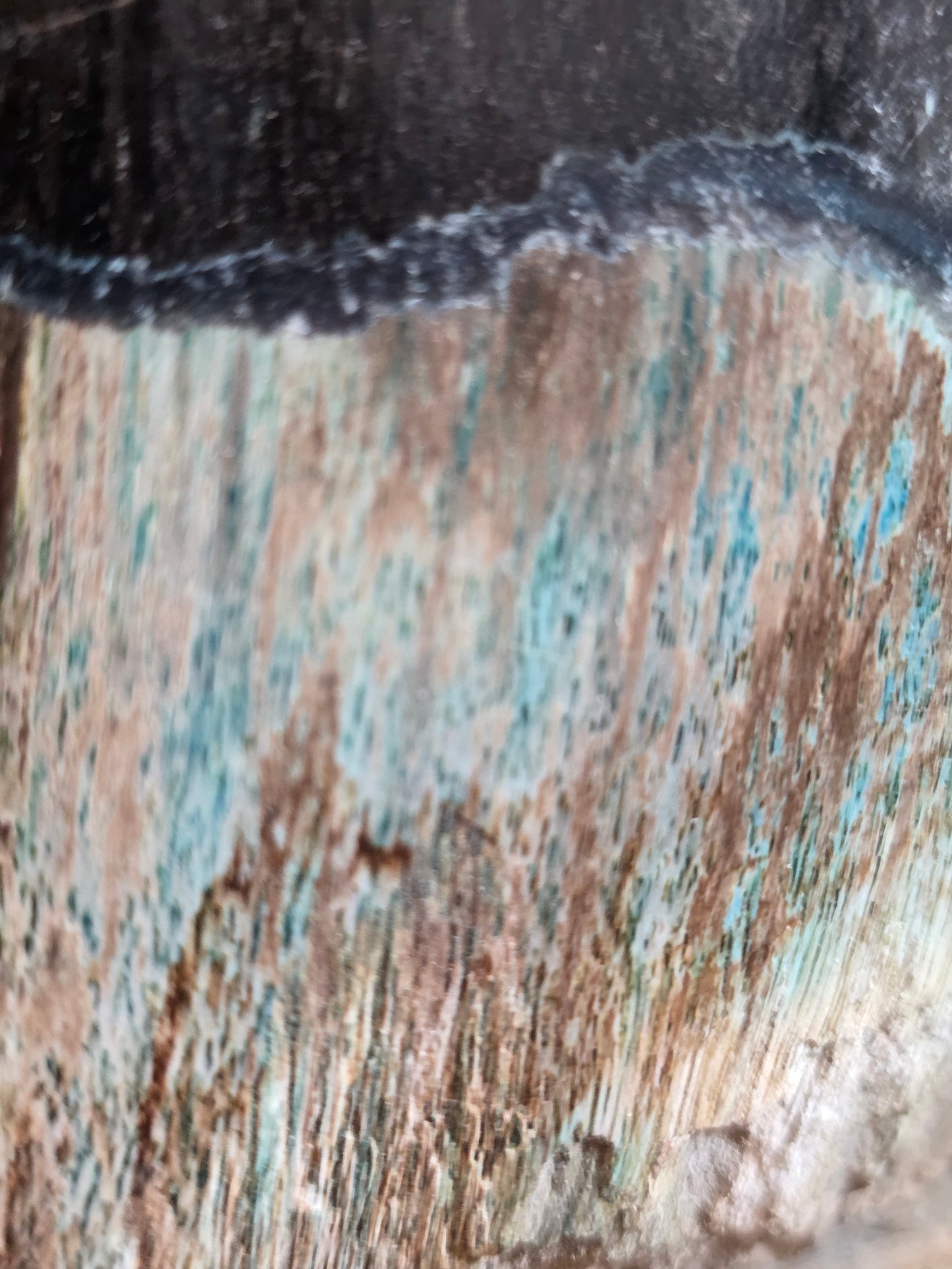 Rare Petrified Wood from Indonesia - Opalized Chrysocolla, 87 lbs Collectors Mineral