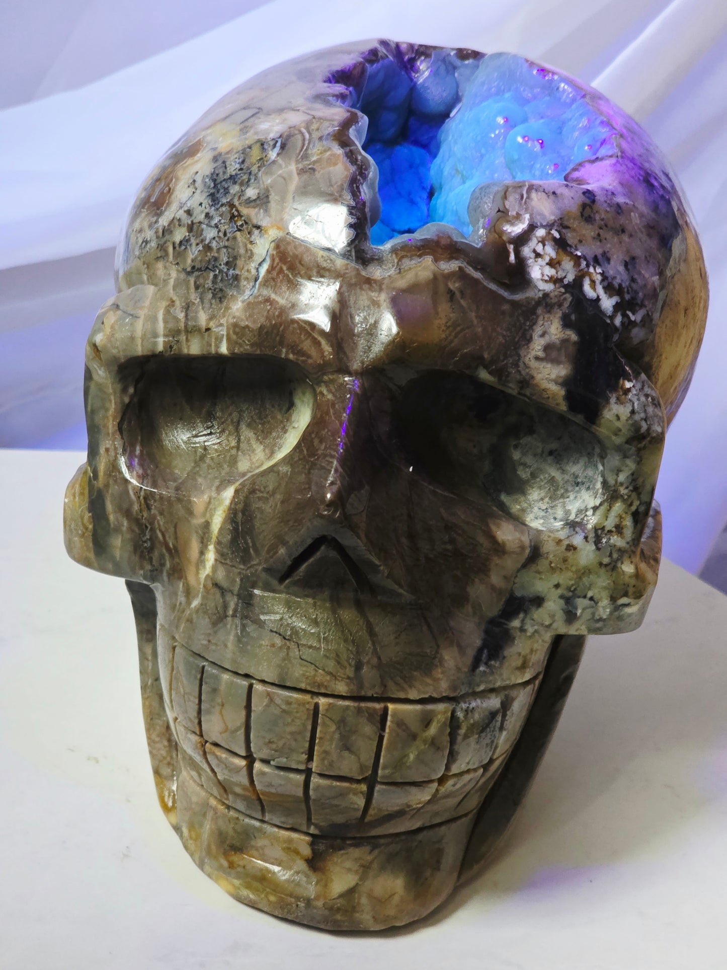 22 Pounds Skull Volcano Agate with Botryoidal UV Geode Hand Carved Mayan Statement Piece